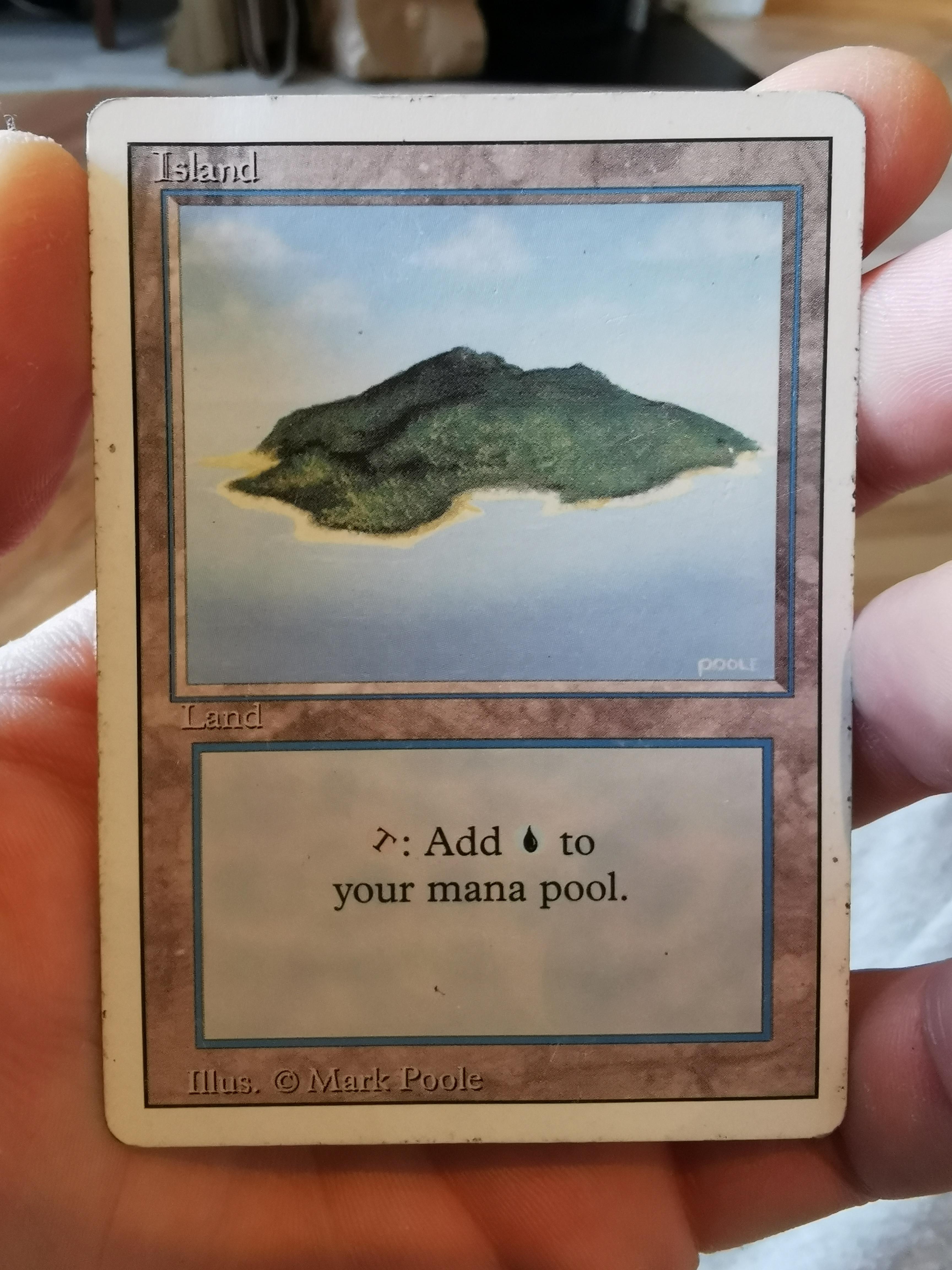 Are old lands like this Worth Anything? r/mtg