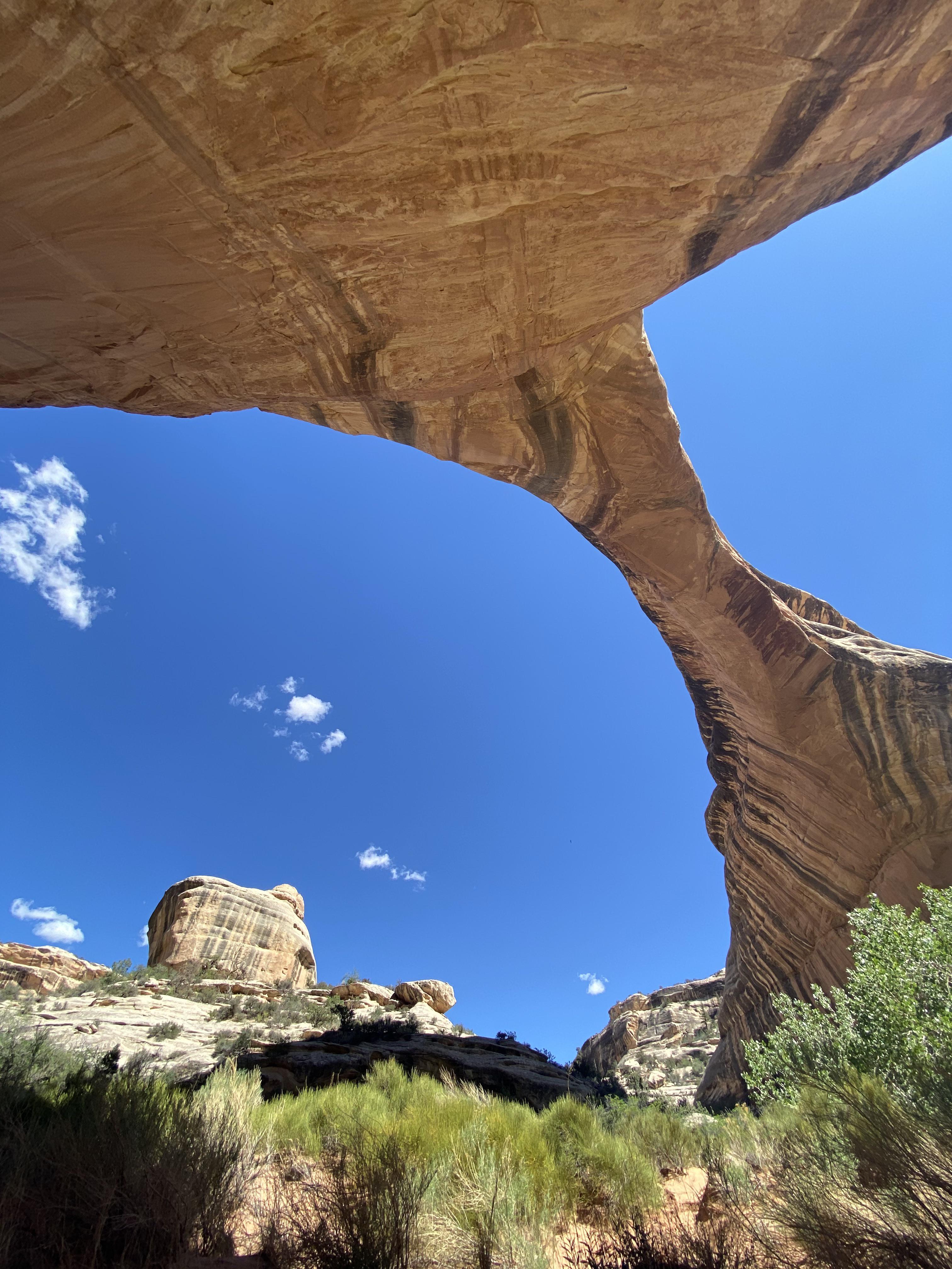 Natural Bridges National Monument r/NationalPark