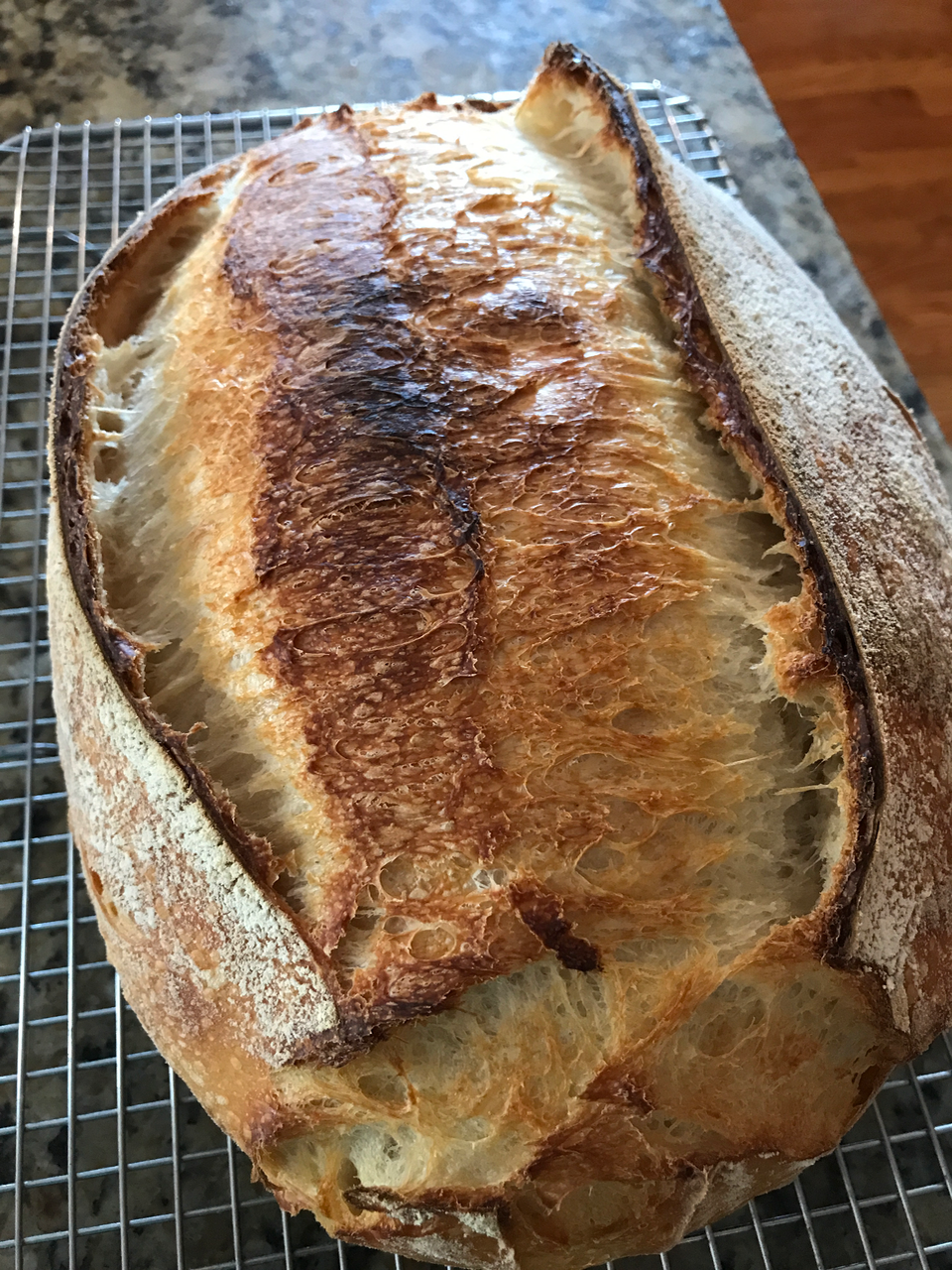 [Homemade] Artisan bread made with sourdough starter and baked in a