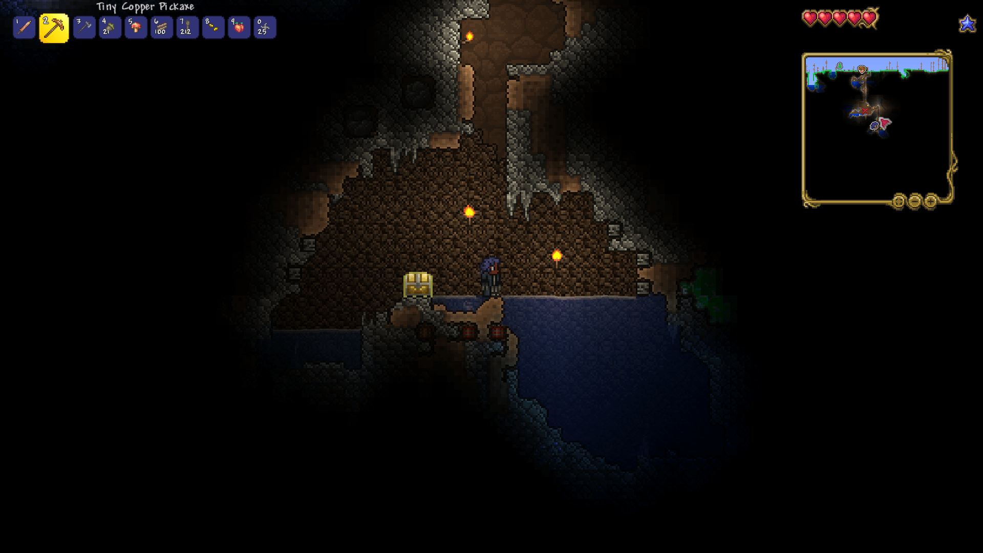 Um guys, should I open this chest? r/Terraria