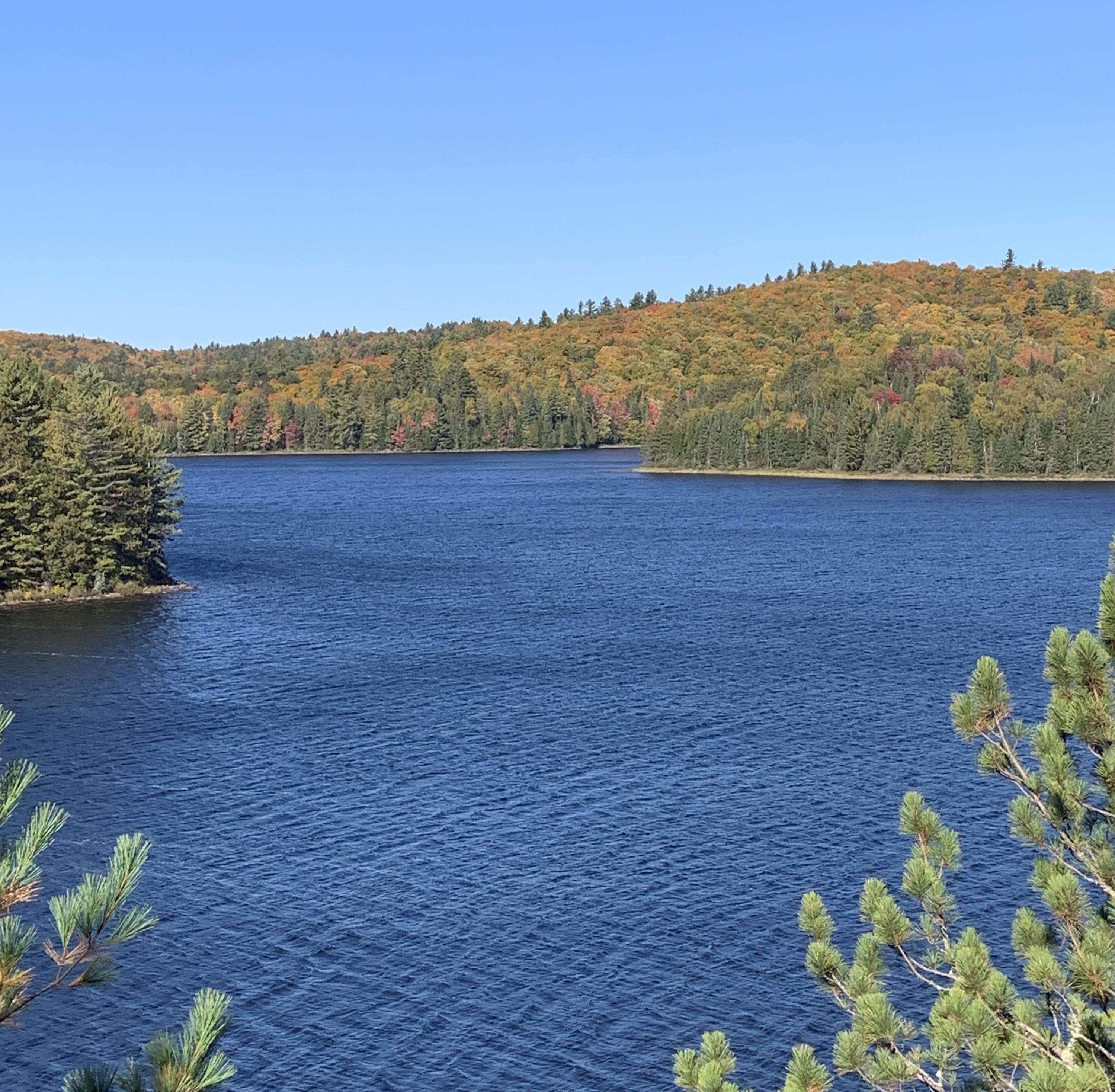 Found a great view on Booth Lake this weekend r/algonquinpark