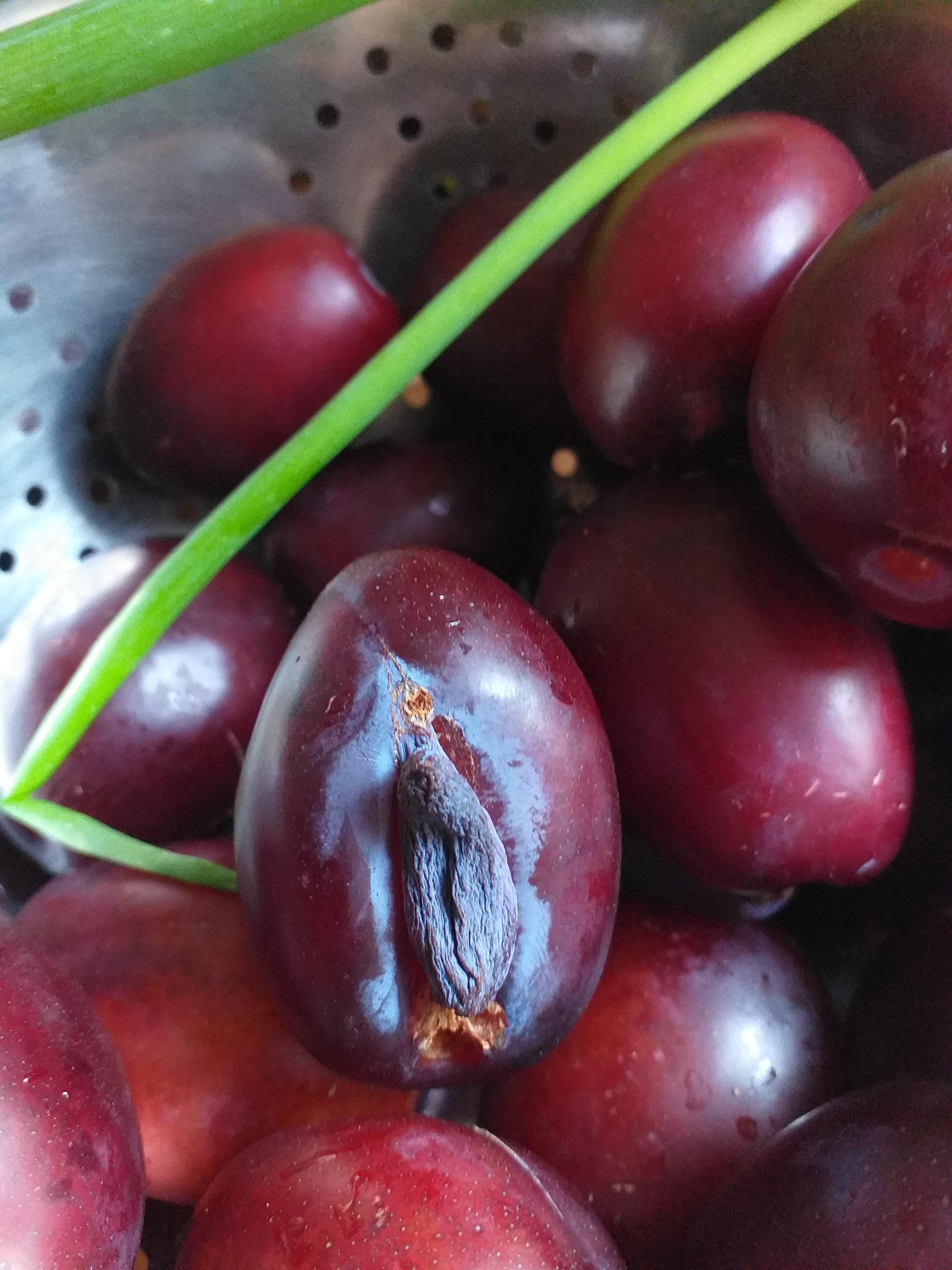 Do you like plums? r/mildlyvagina