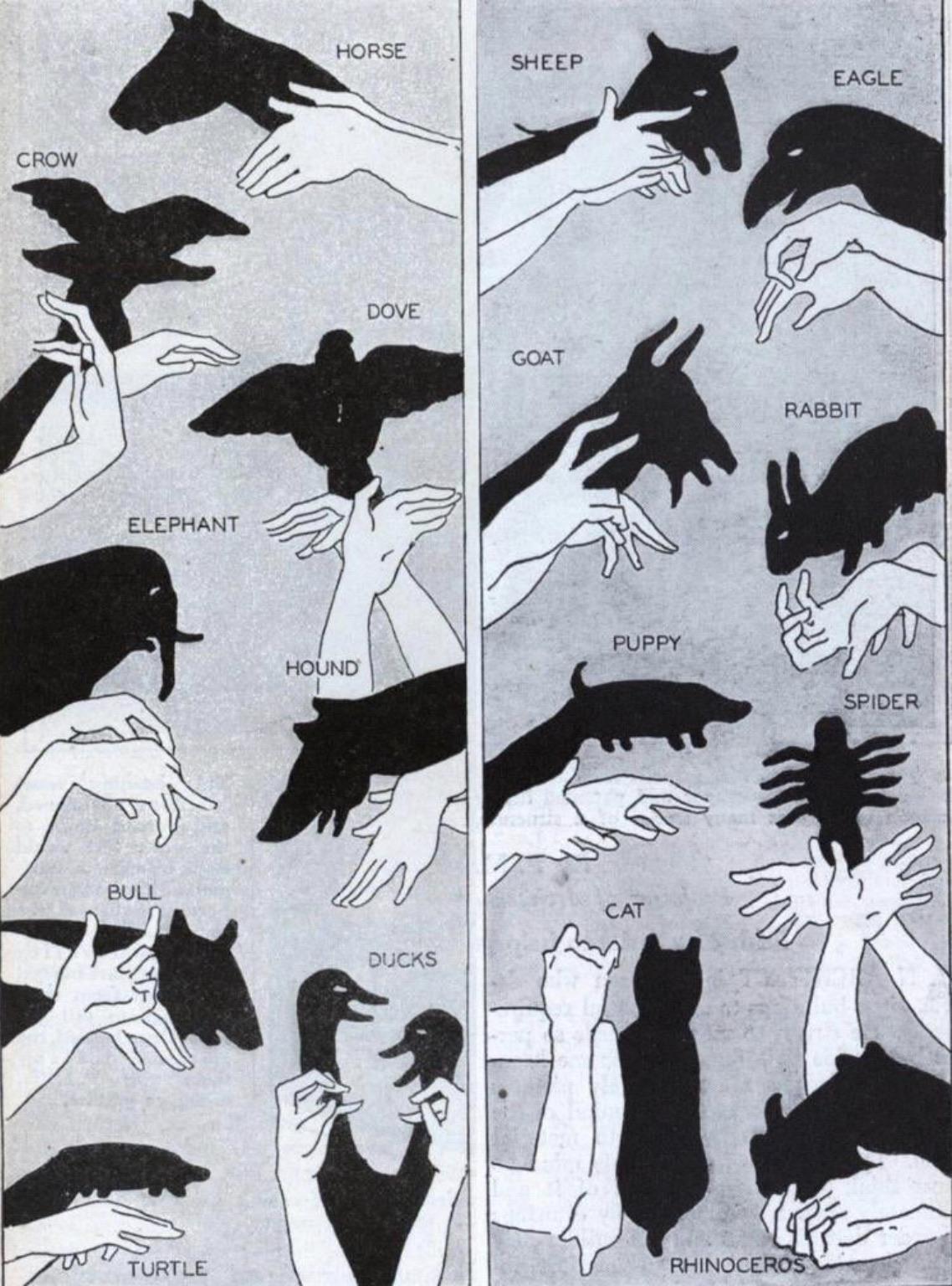A guide for making Shadow Animals with your hands! r/coolguides