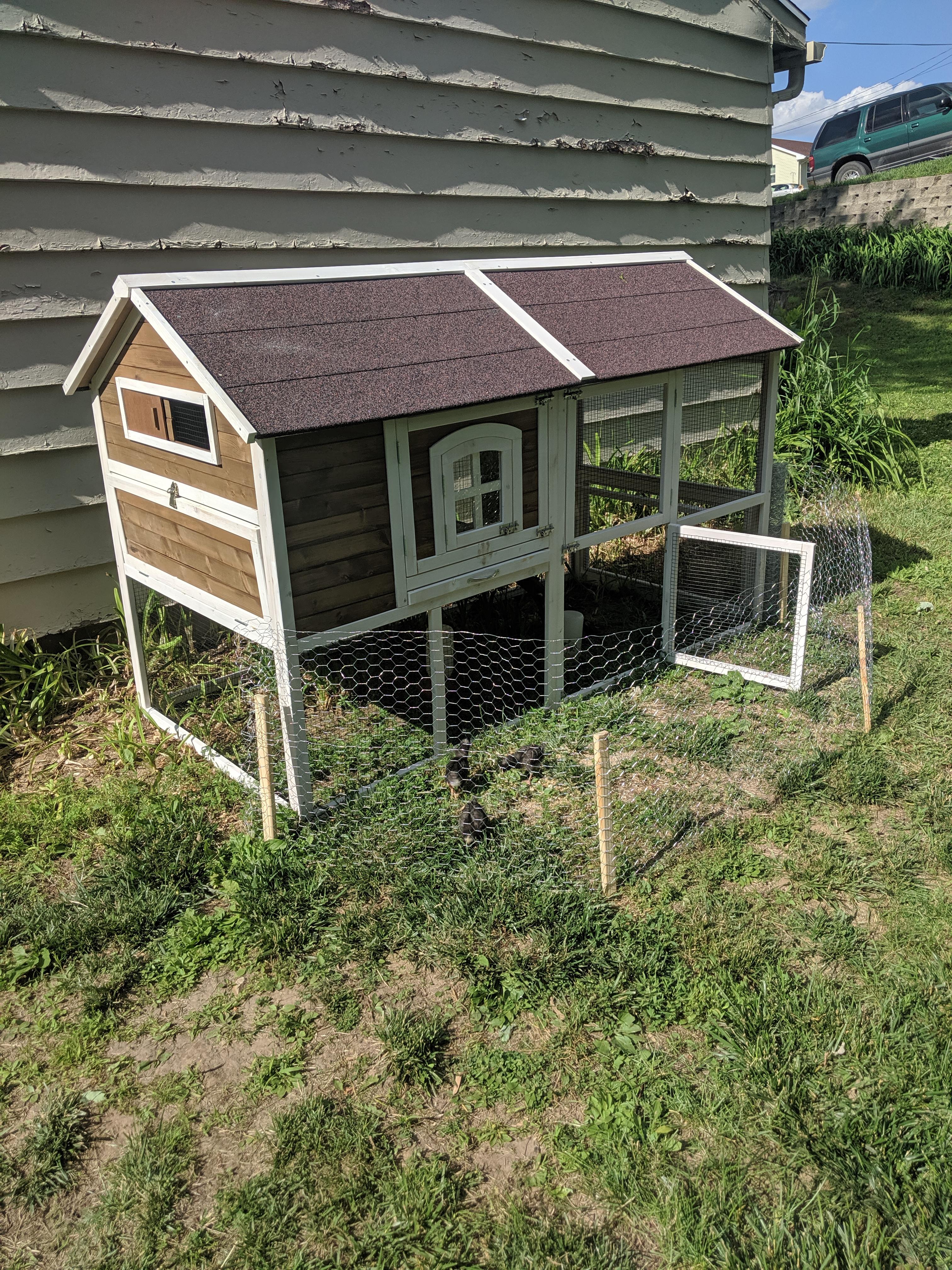 Made a quick little chicken run for my chicks to get some sun in 😊 r