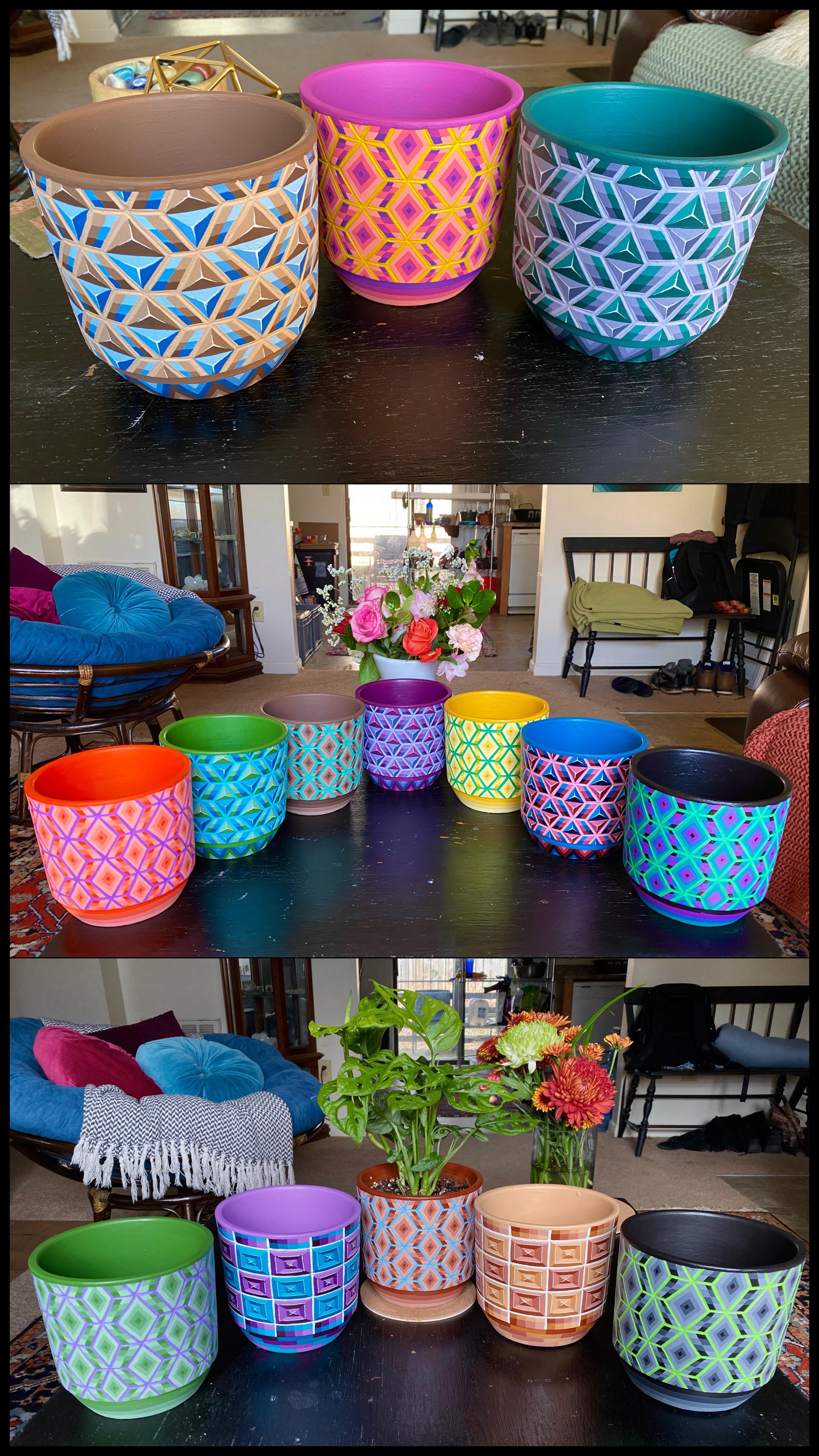 I’ve been handpainting terracotta plant pots the past few months r/pics
