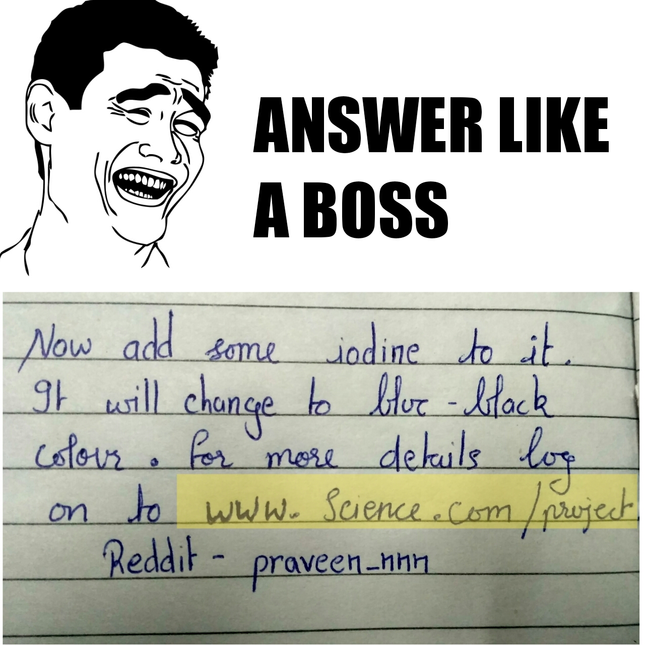 Incredible Compilation Over 999 Backbenchers Images in Stunning 4K Quality