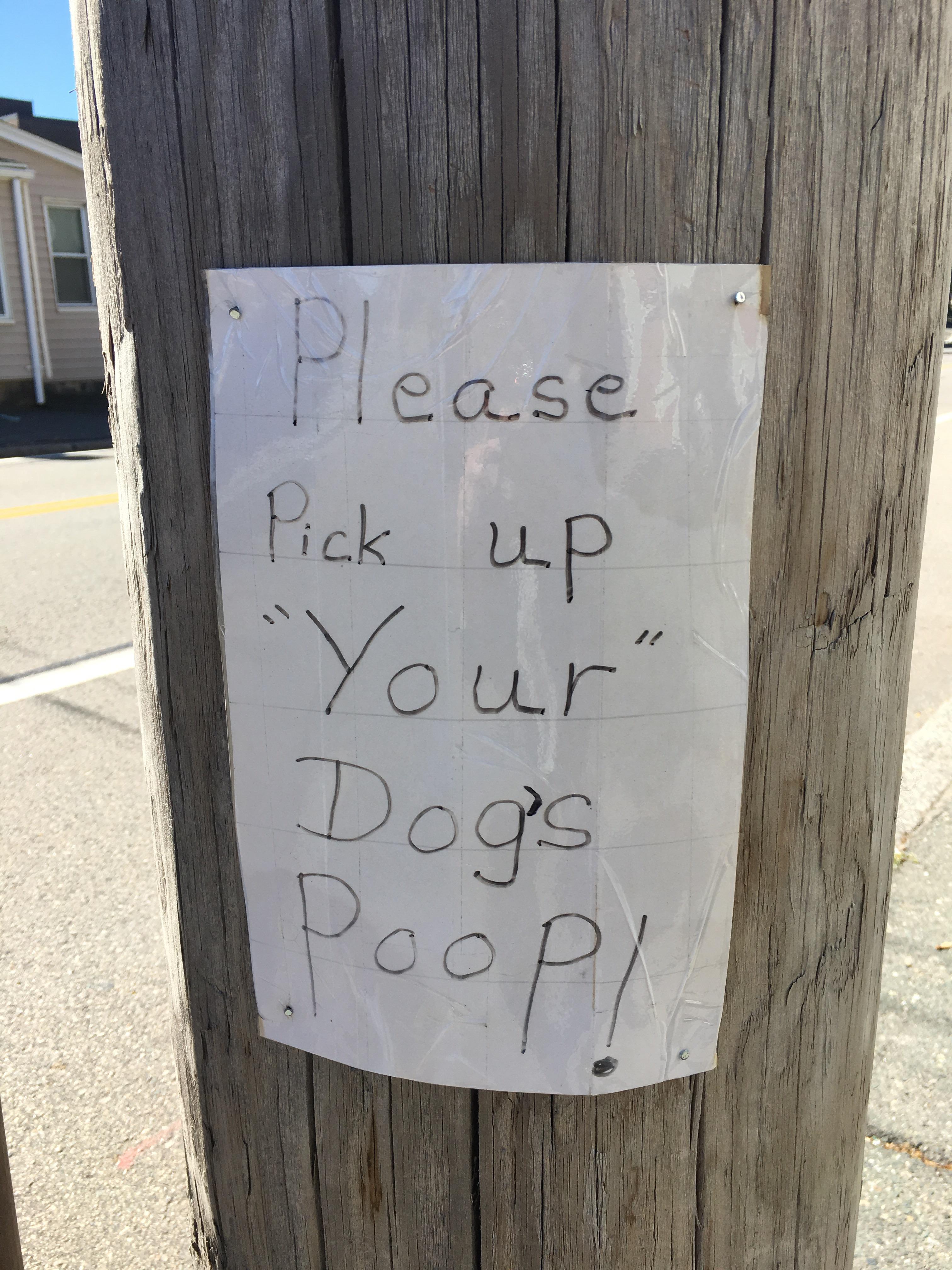 What if it isn't my "dog's" poop? r/suspiciousquotes