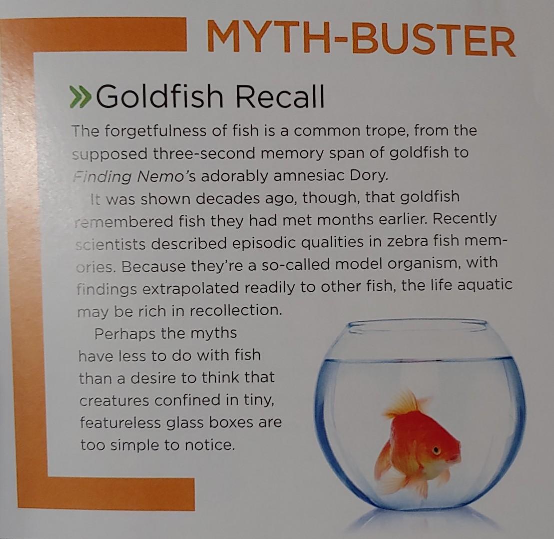Loving the lowkey shade from National Geographic r/Aquariums