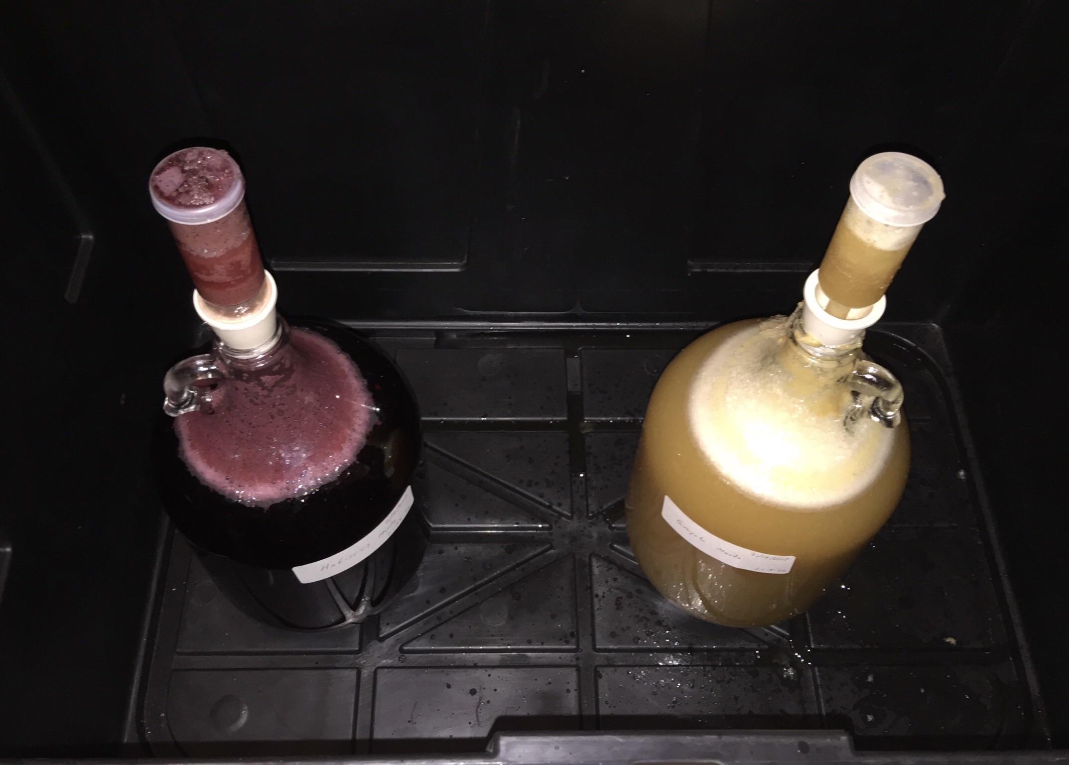 My first two tries traditional sweet Mead with (1) hibiscus and (2
