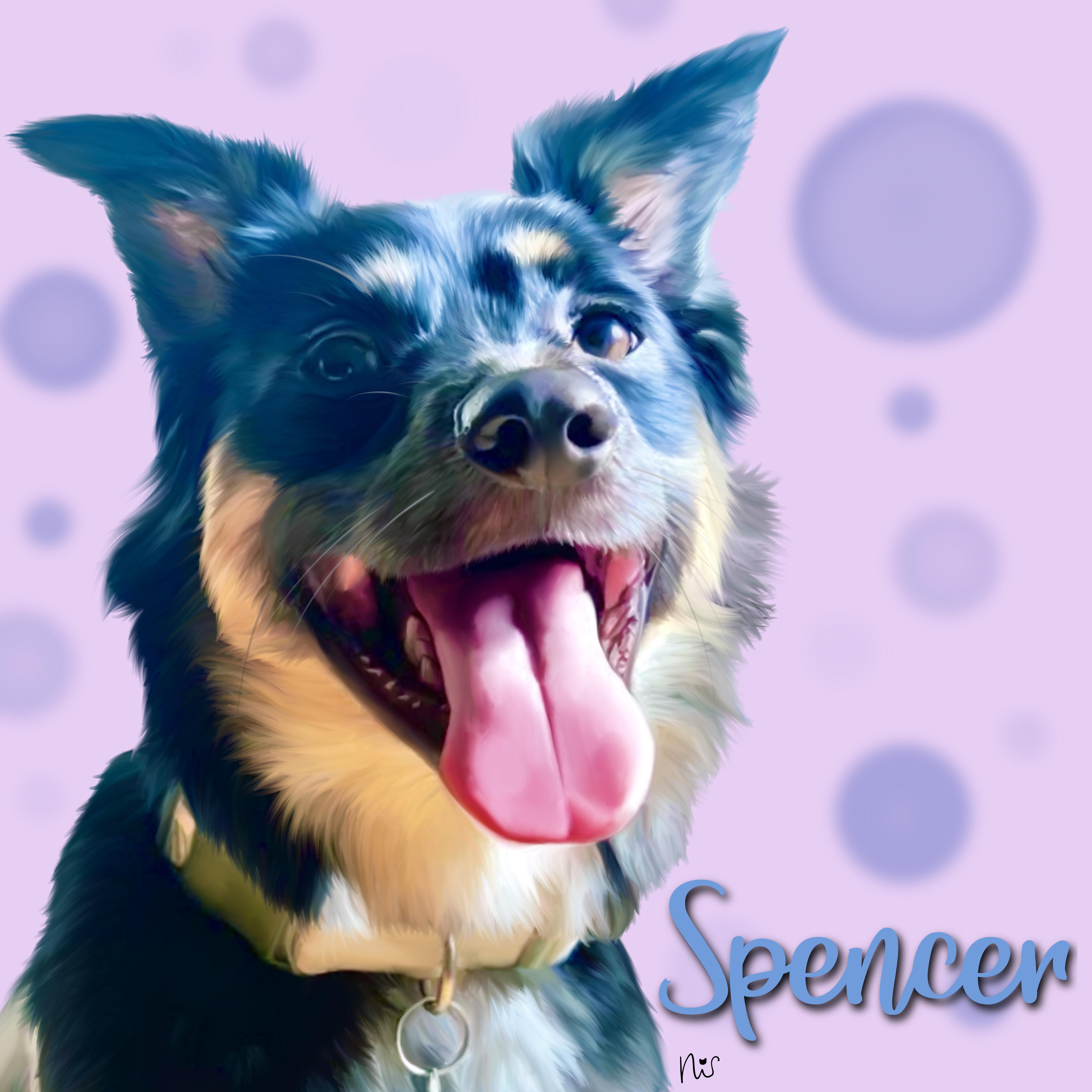 Making my way though streamer/YouTuber pets, here’s my portrait of Spencer! r/CrankGameplays