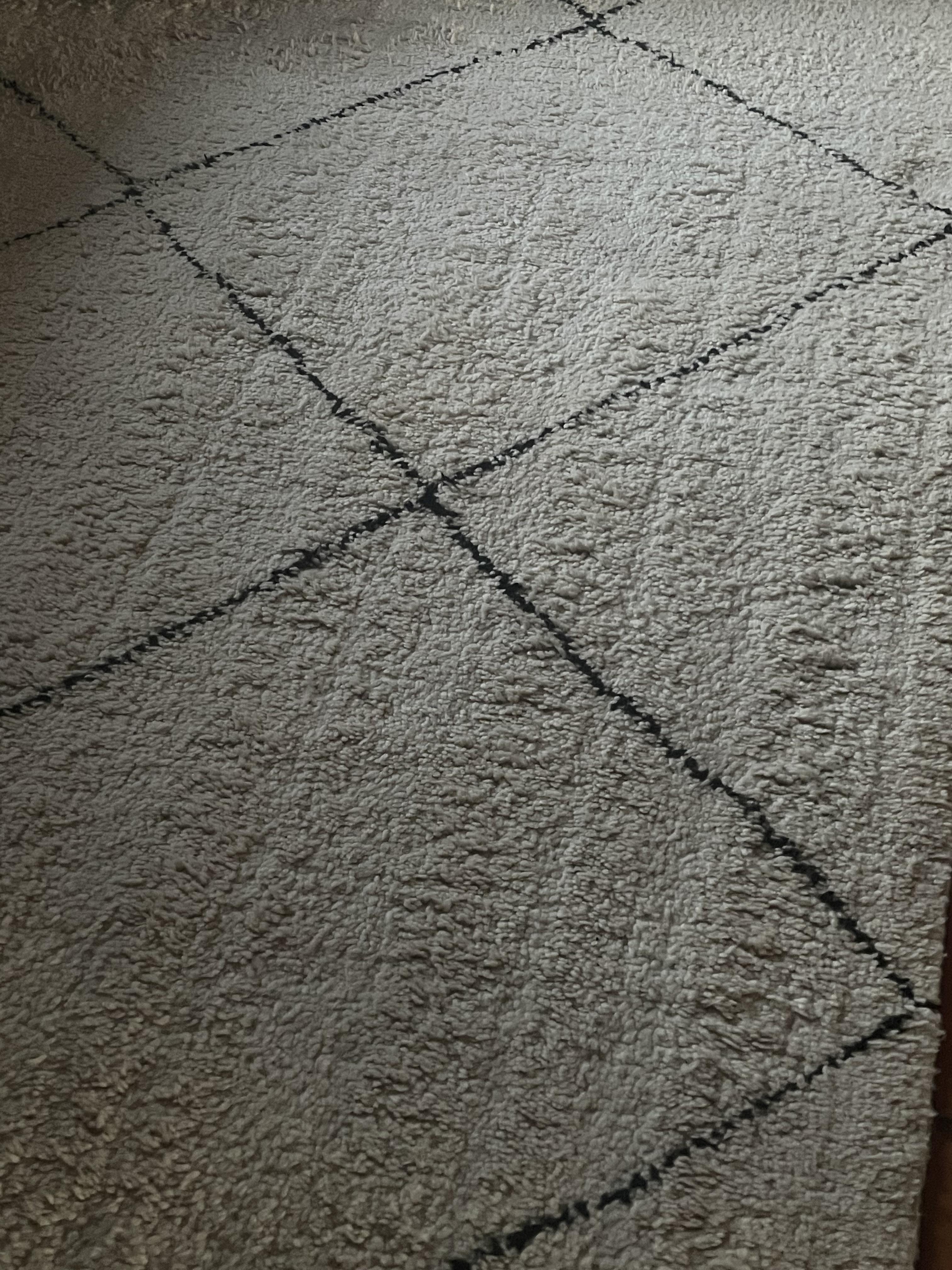 Starting to understand the obsession with carpet streaks… r/Roborock