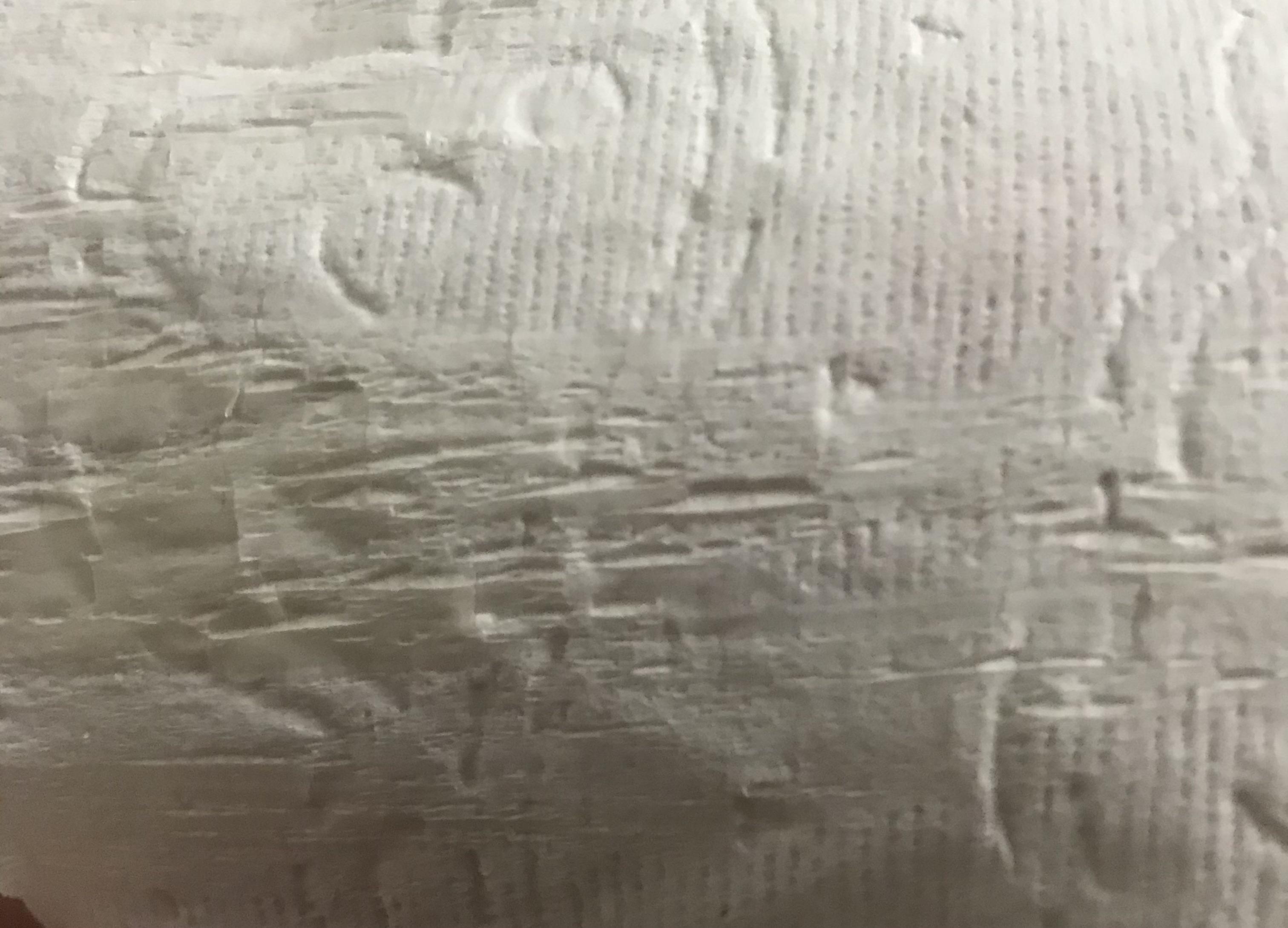 This crusty piece of toilet paper r/mildlyinteresting