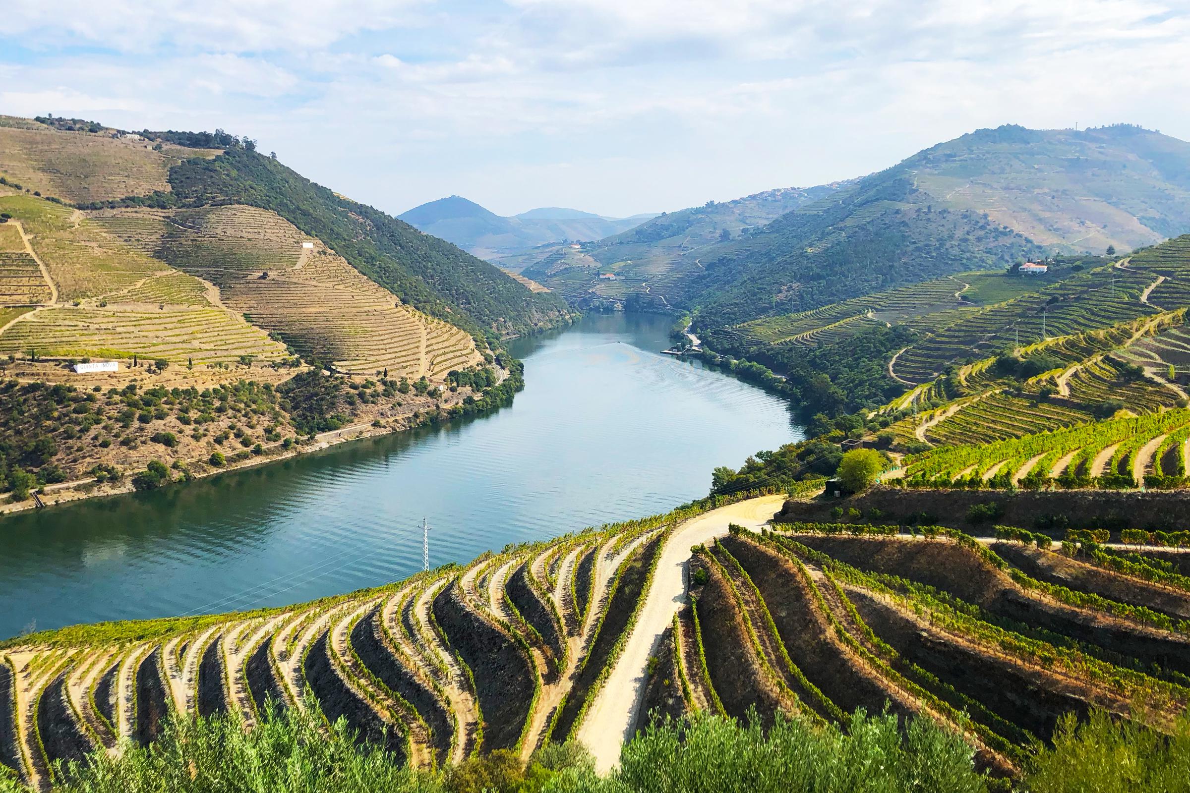View from Quinta do Popa in the Douro valley, Portugal. r/europe