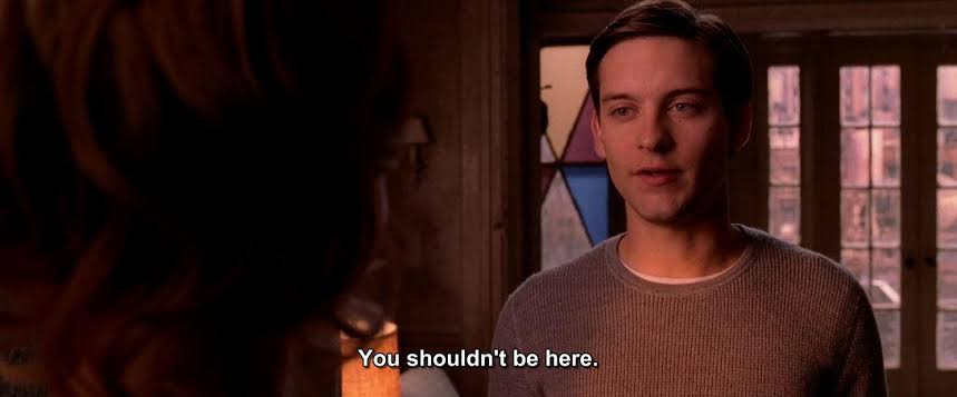 When I see a Far from home meme on here. raimimemes