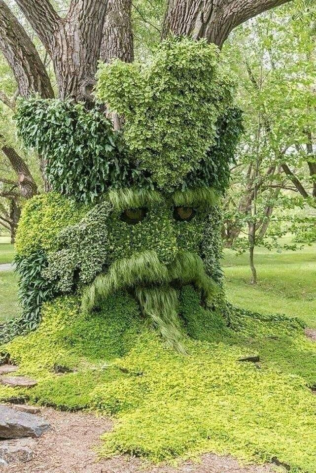 Gardener's art in the Montreal botanical gardens r/Snorkblot