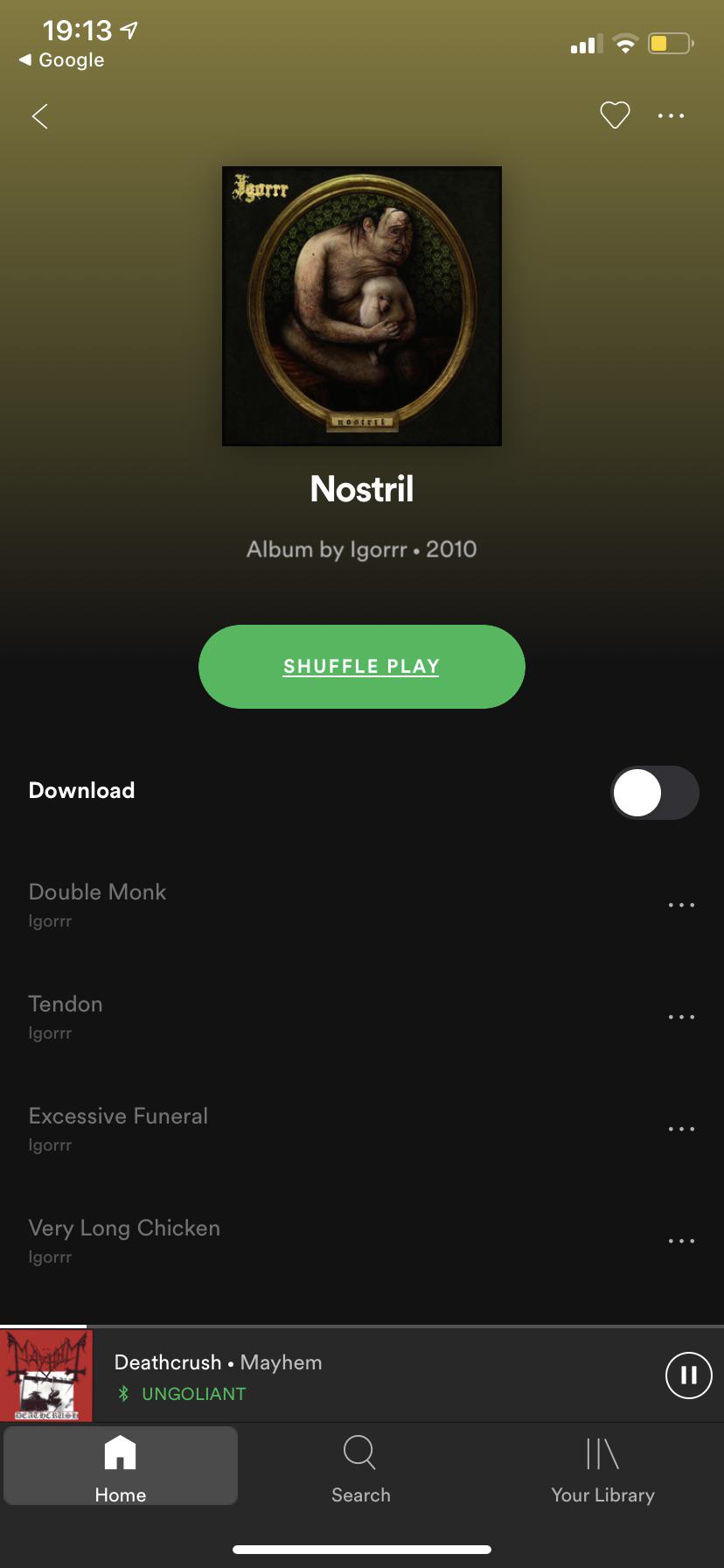 Why am i able to find the albums like this but not play any songs? Igorrr