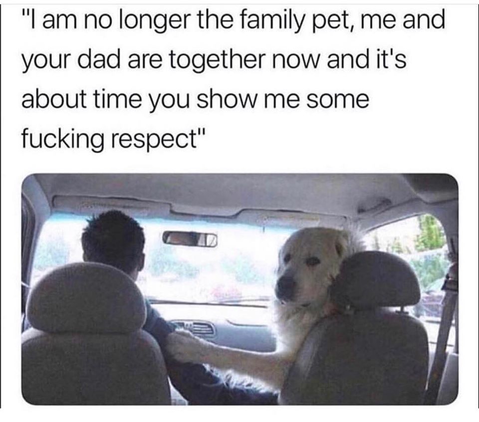 Ya Dirty Dog! r/NormMacdonald