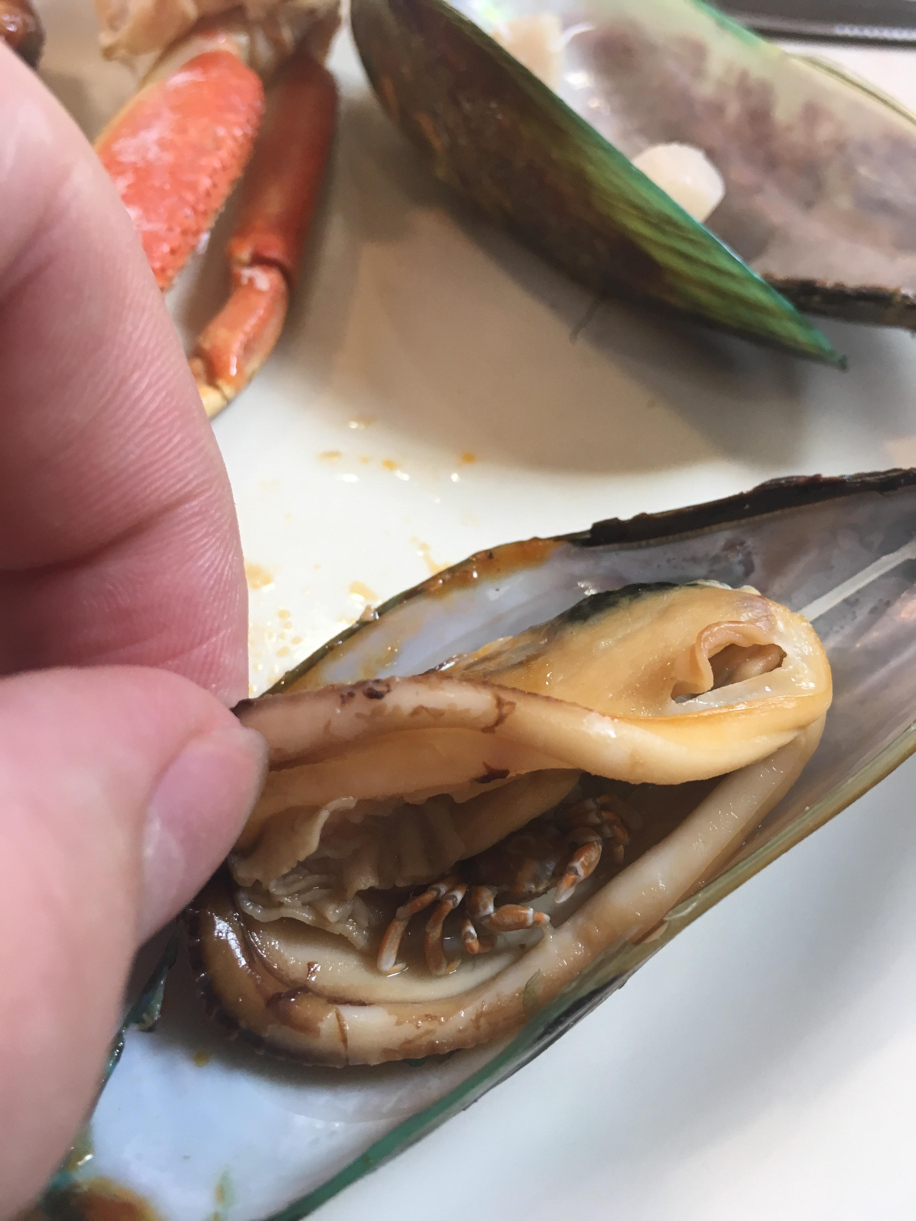 There was a baby crab inside this mussel I had for lunch today r