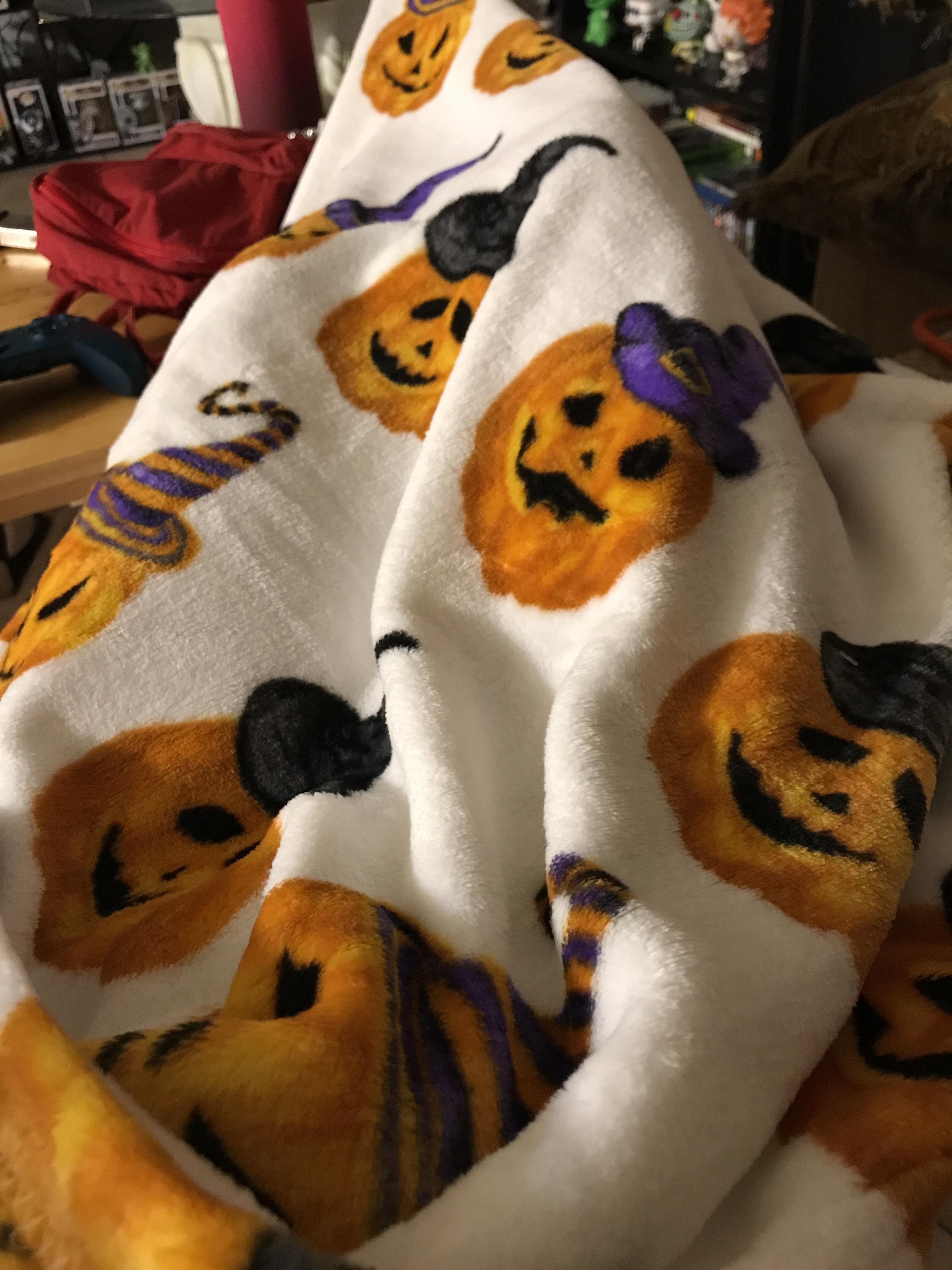 I got this Halloween blanket at Ross for only 8 and it’s magically soft r/halloween