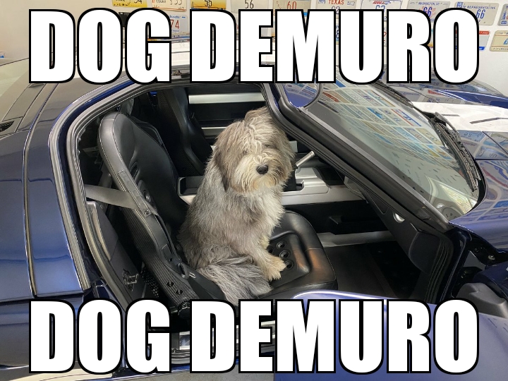 Noodle is dog demuro r/dougdemuro