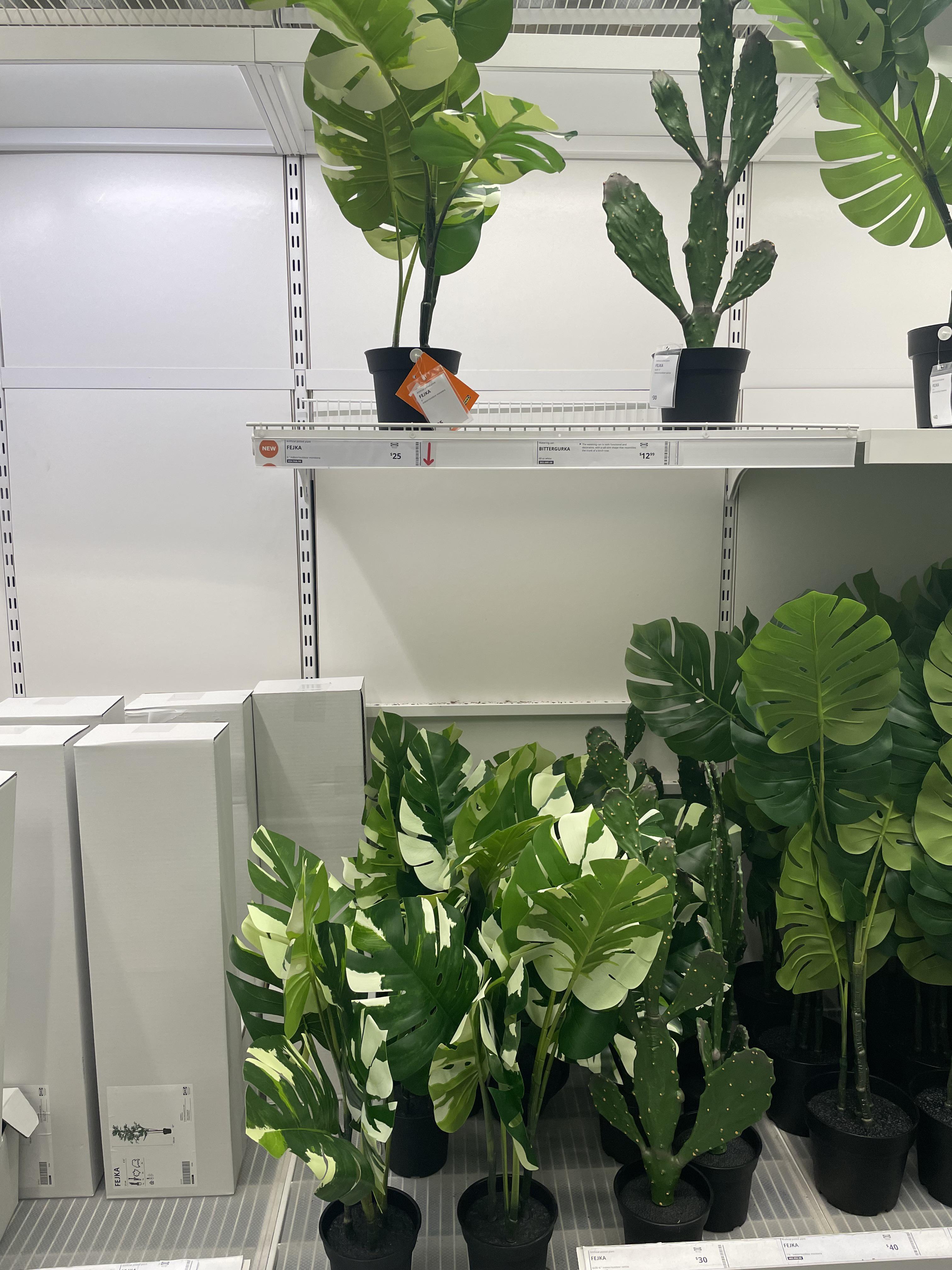 Hit the jackpot at IKEA 😂 r/houseplants