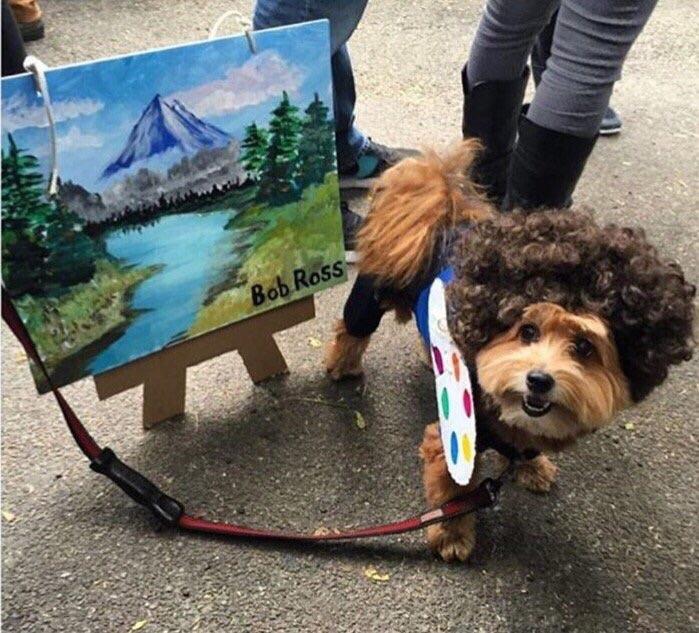 PsBattle This Bob Ross Dog.