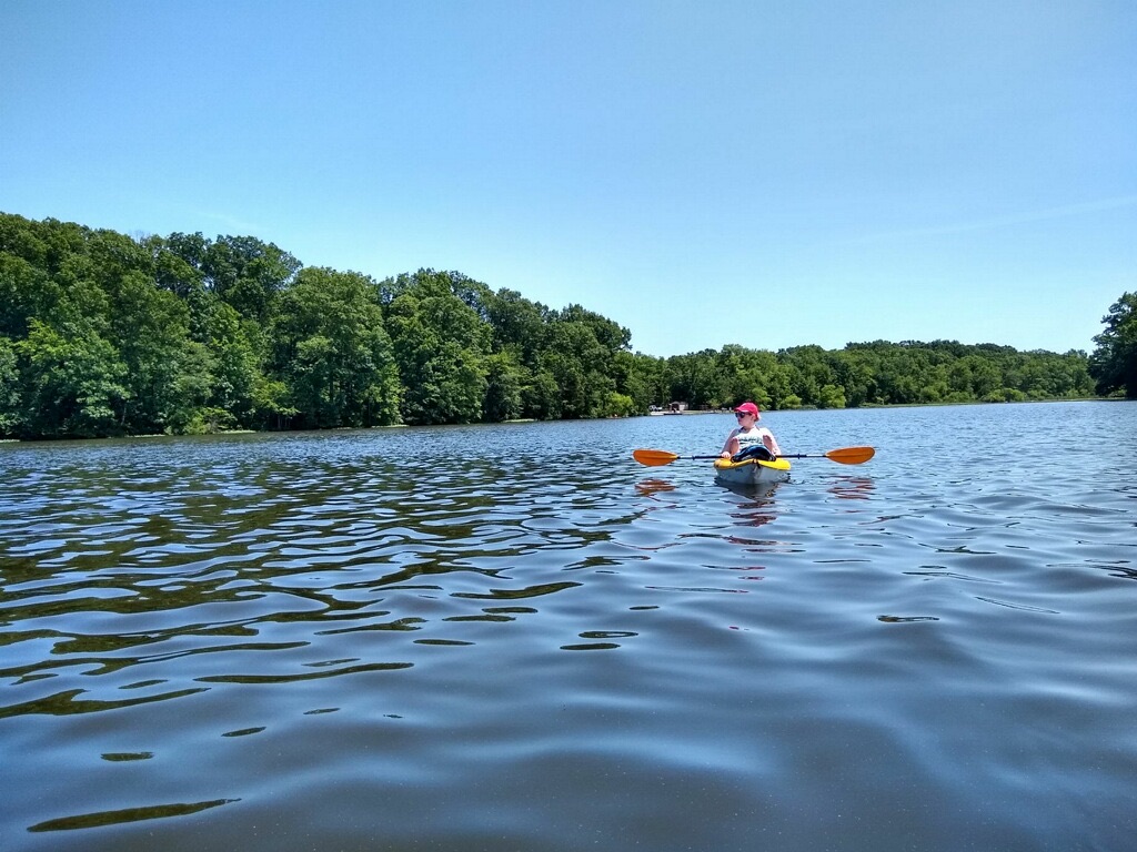 Pinchot Park in PA ! r/Kayaking