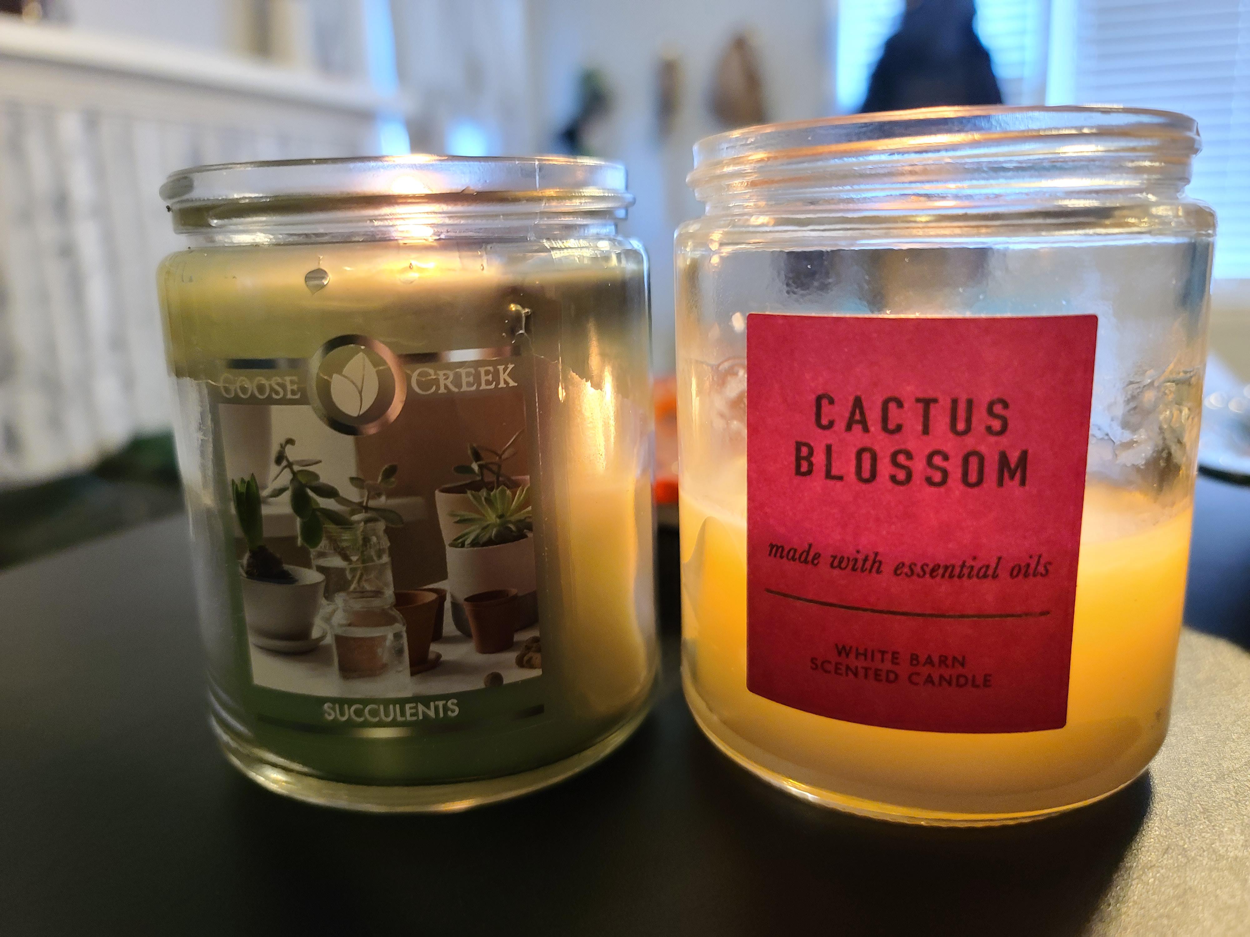 Candle combo of the day! r/goosecreekcandles