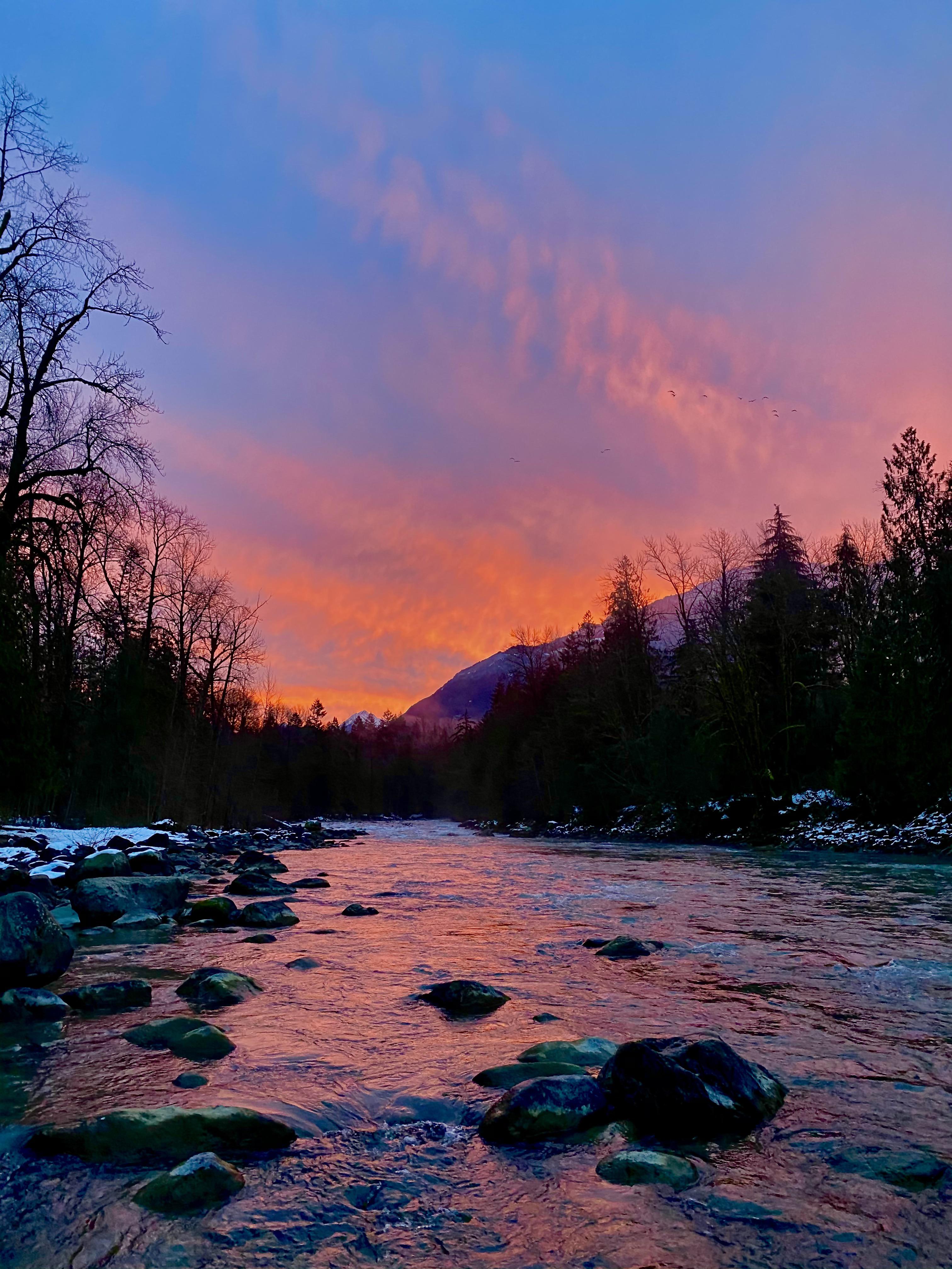Chilliwack river valley 👌🏻 r/britishcolumbia