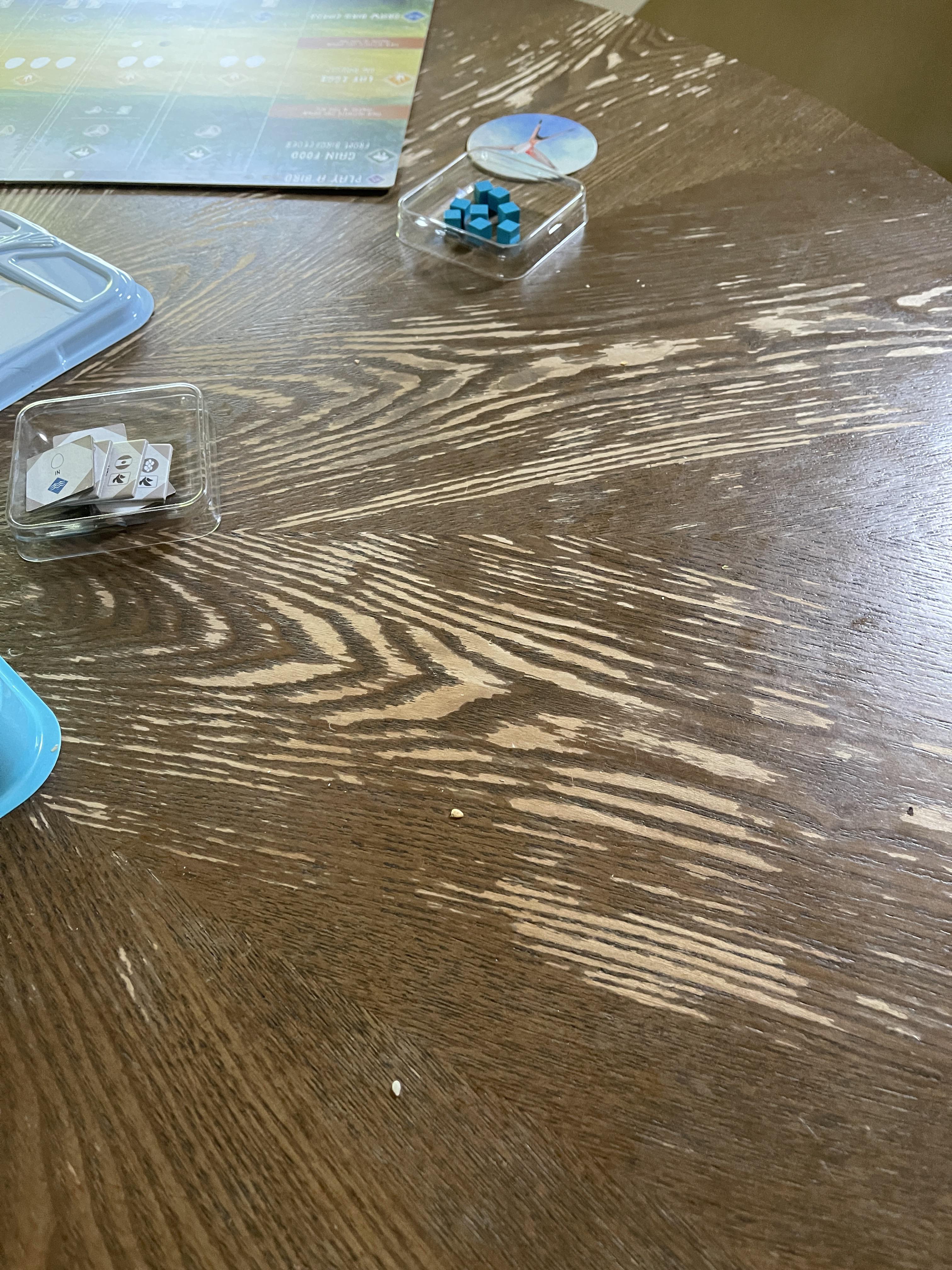 What should I do with this tabletop? (Paint, or finish?) r