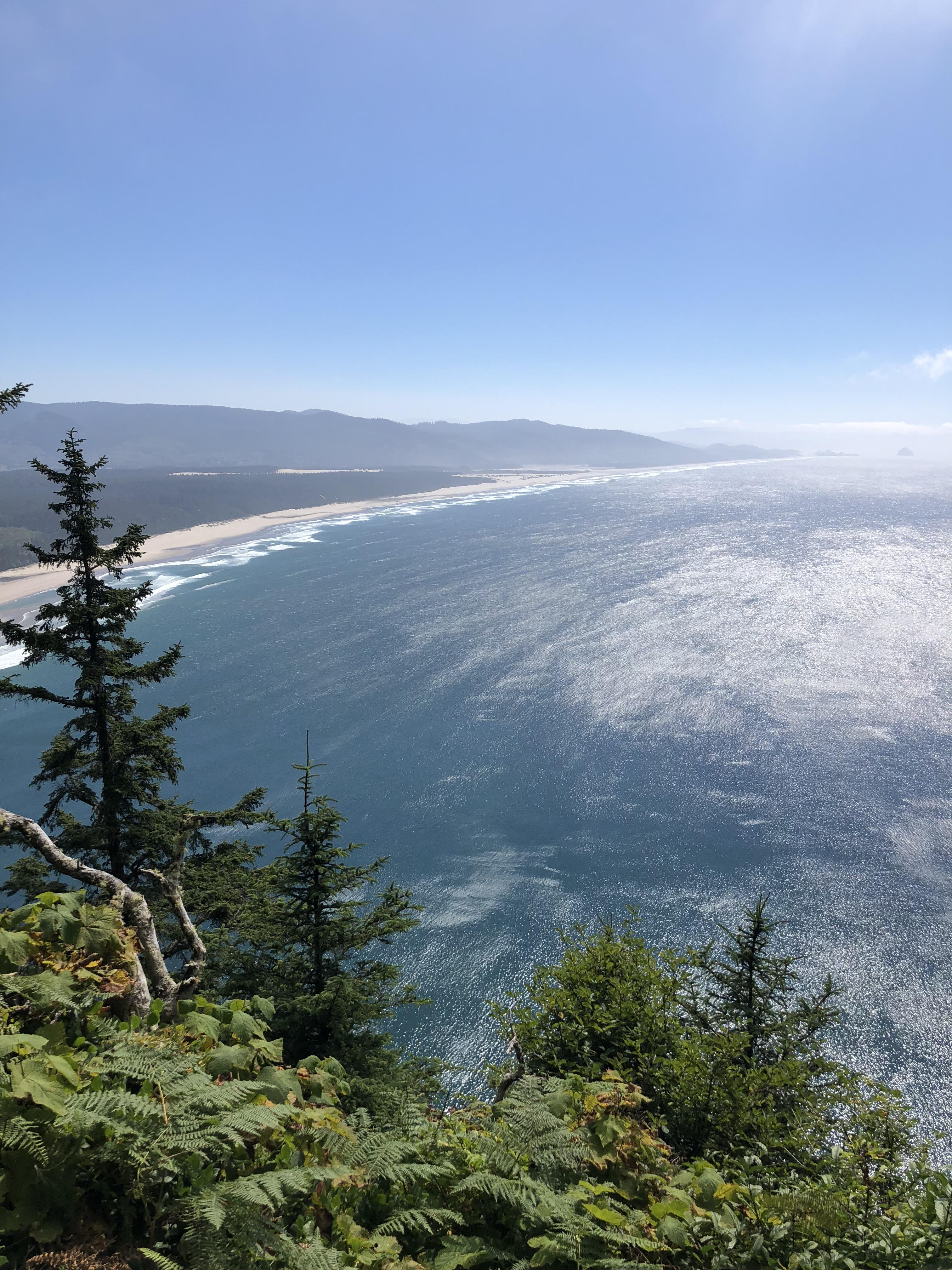 Cape Lookout State Park Oregon trail r/camping