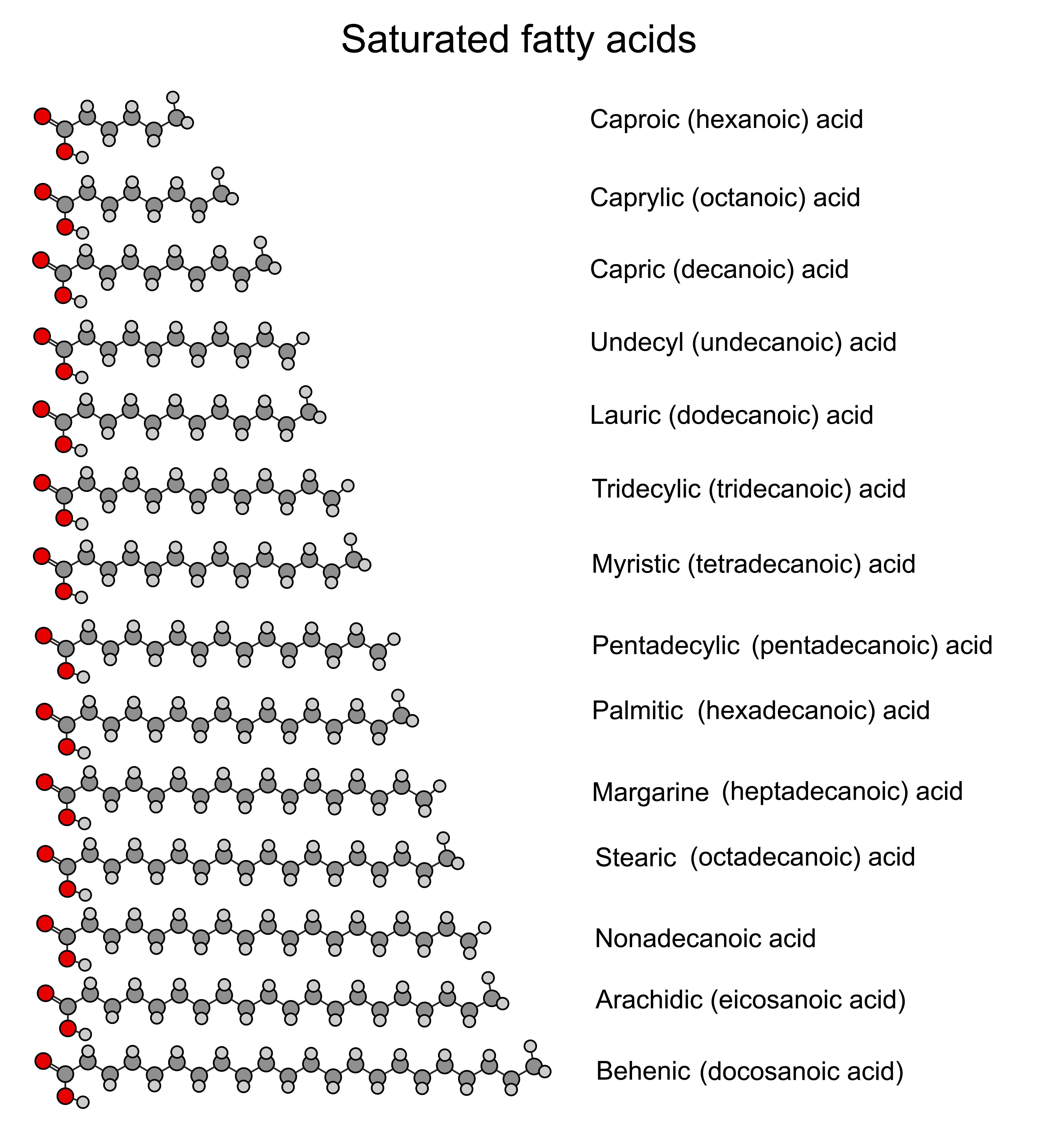 Found a pretty neat high quality image of saturated fatty acids r