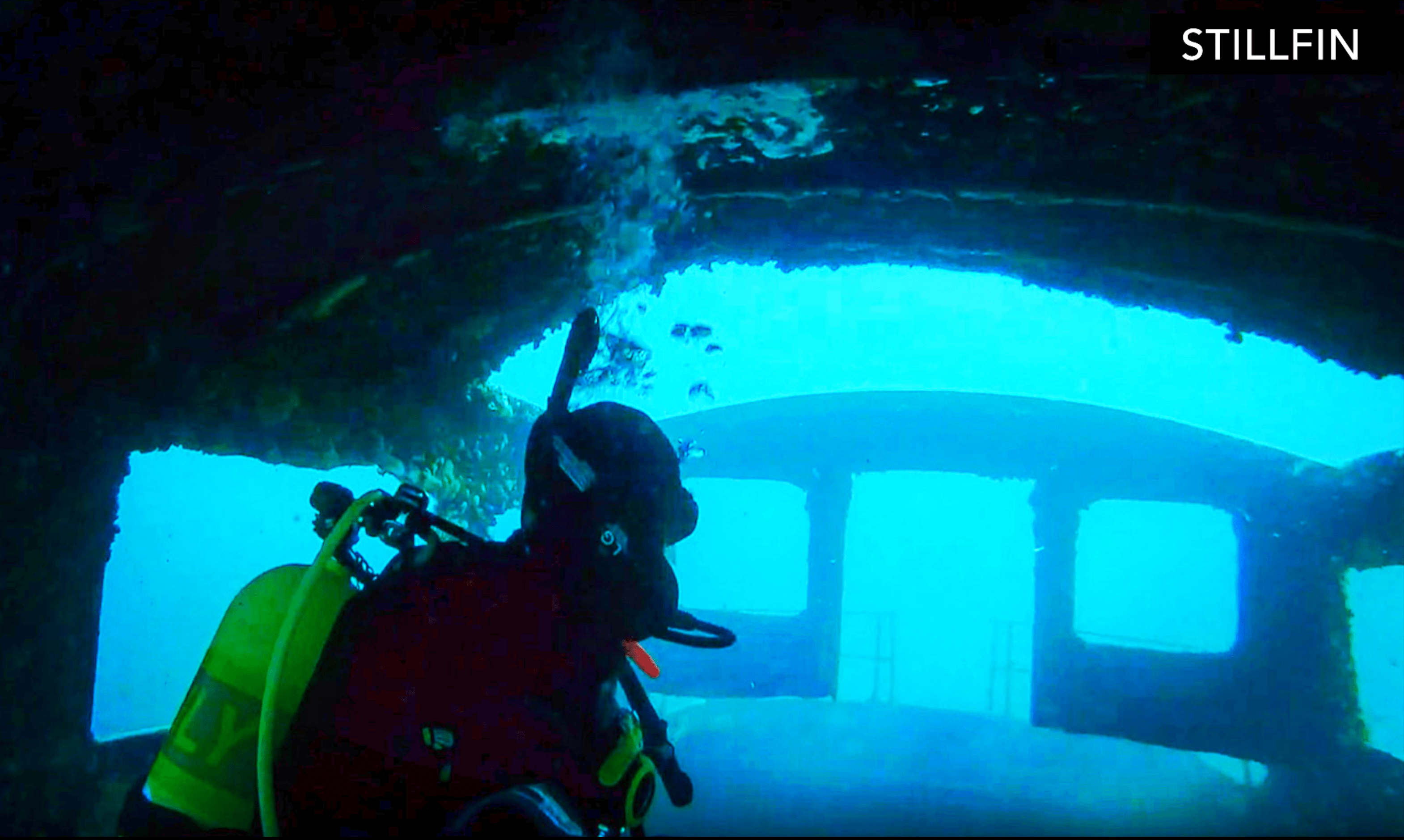 Scuba diving Dutch Springs. r/scuba