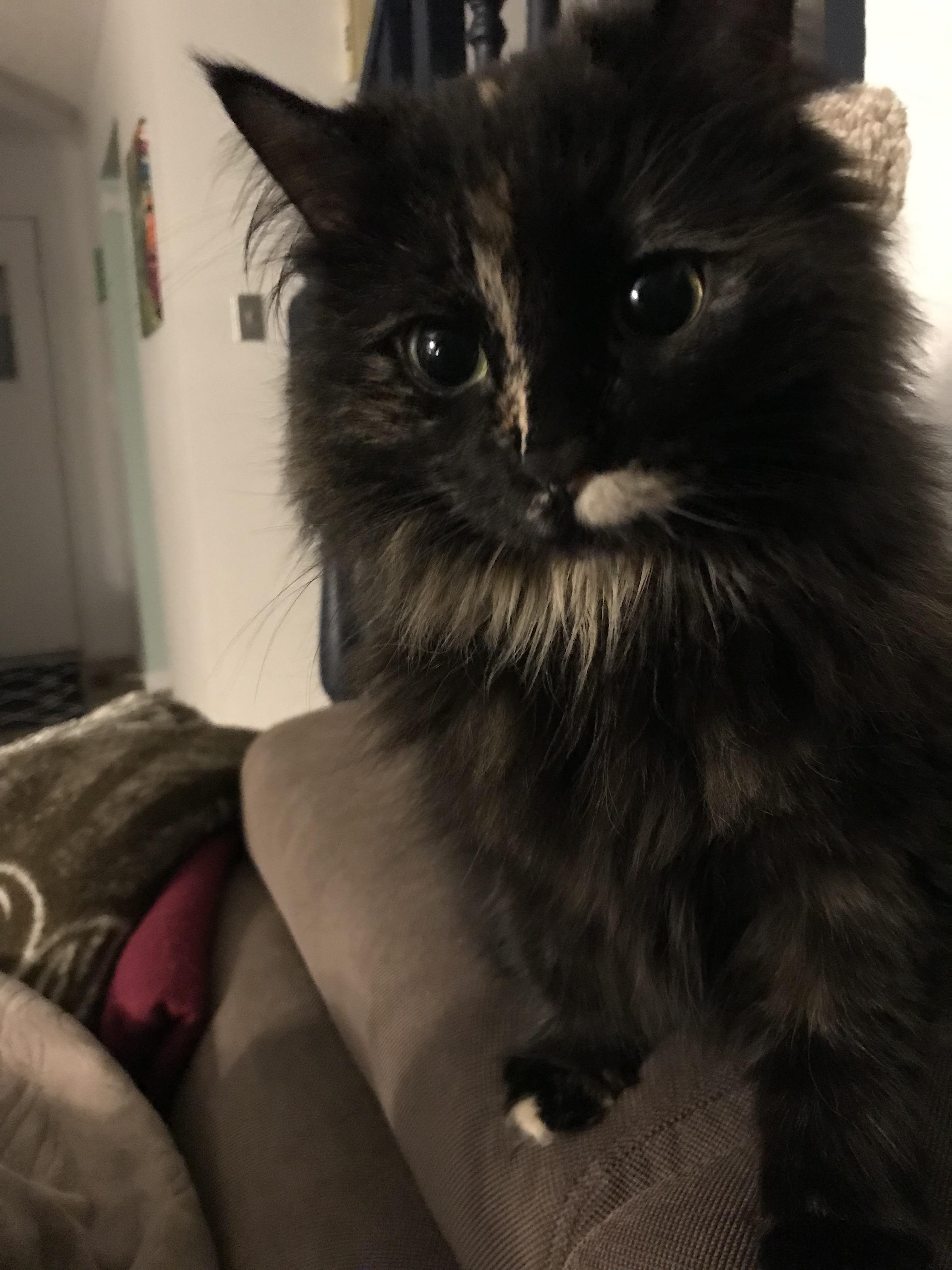 Maggie’s saucer eyes r/DisneyEyes