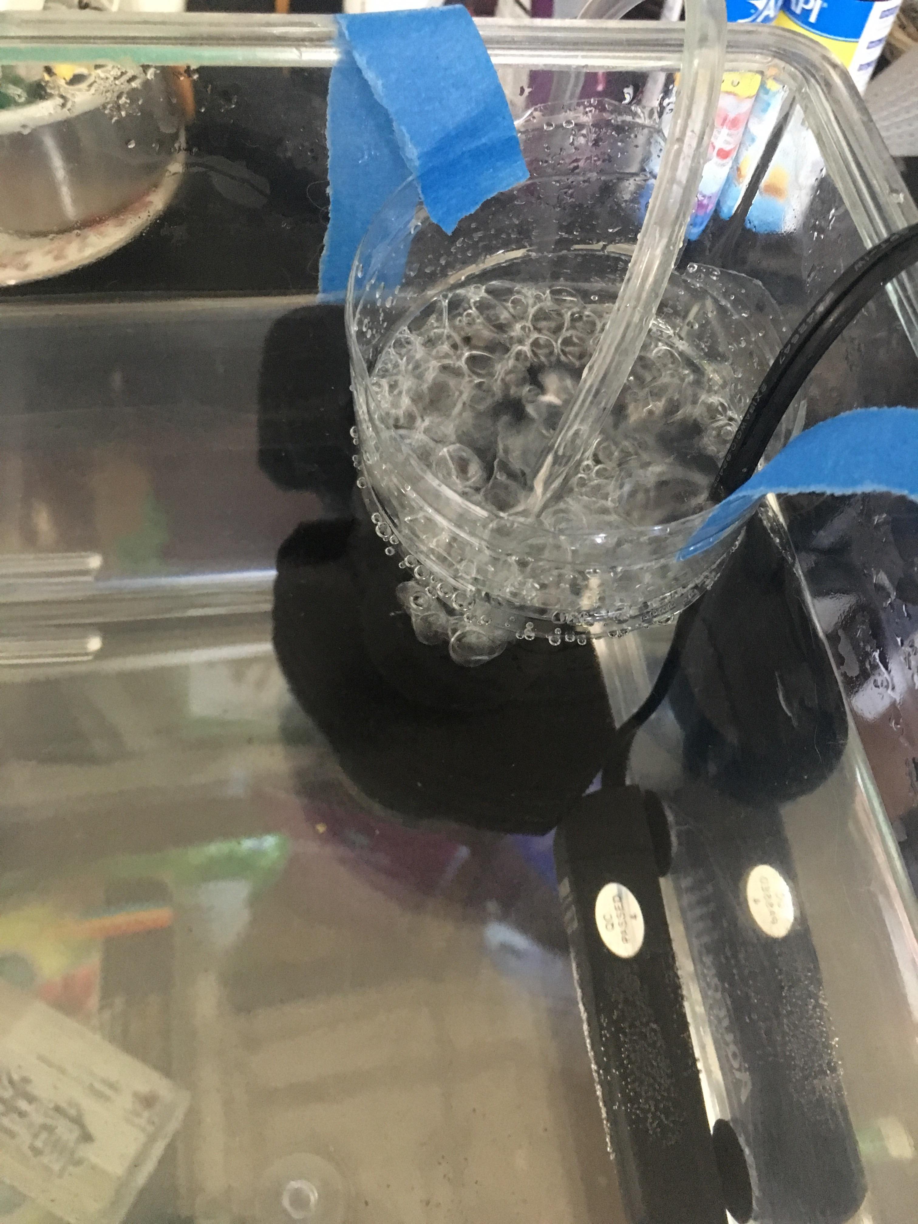 Water was too agitated for sick betta and I had a stroke of genius! Cut water bottle and a