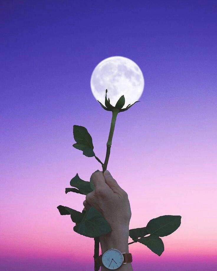 Flower moon. r/VaporwaveAesthetics