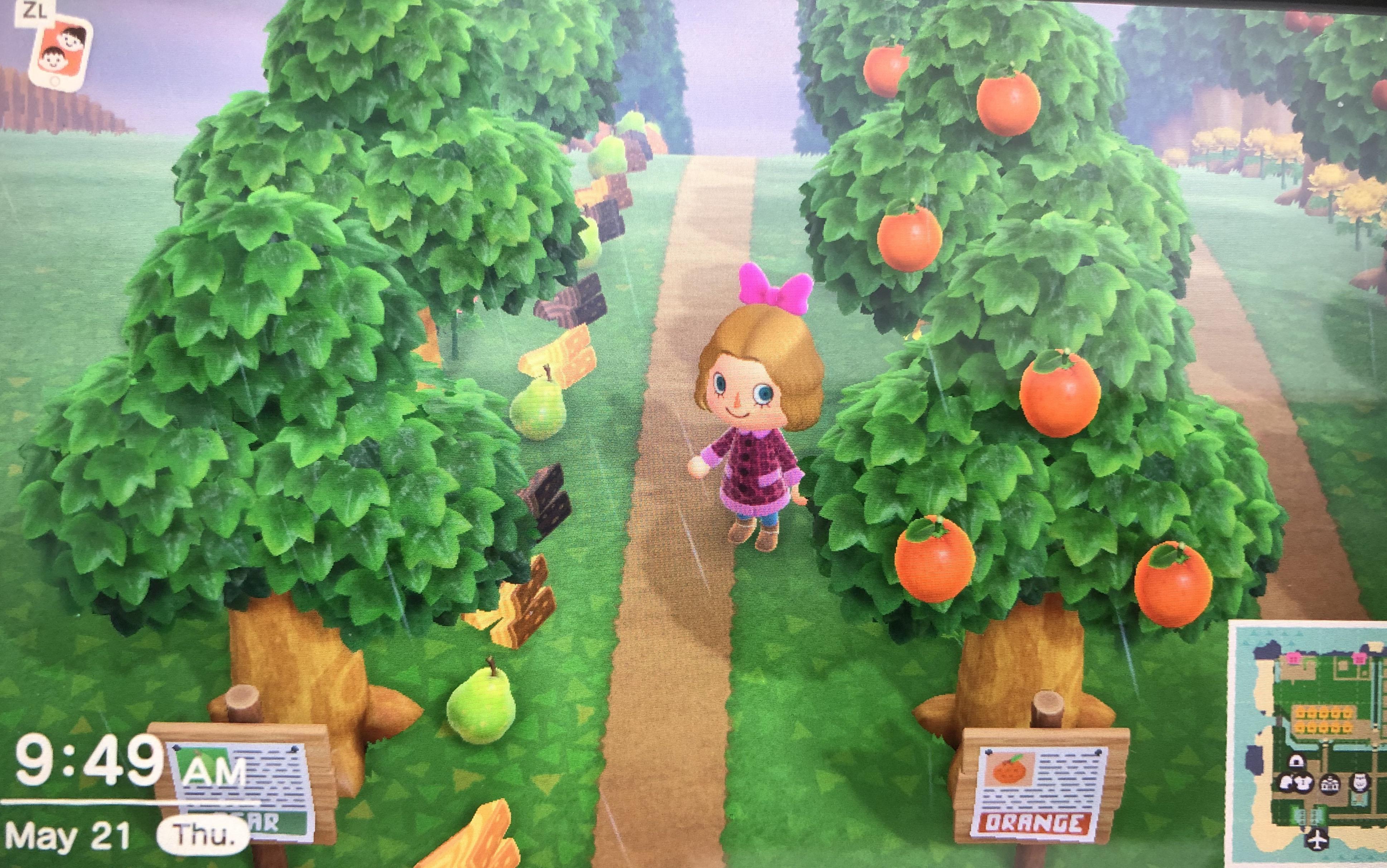 If you plant flowers in front of and behind your trees, when you shake