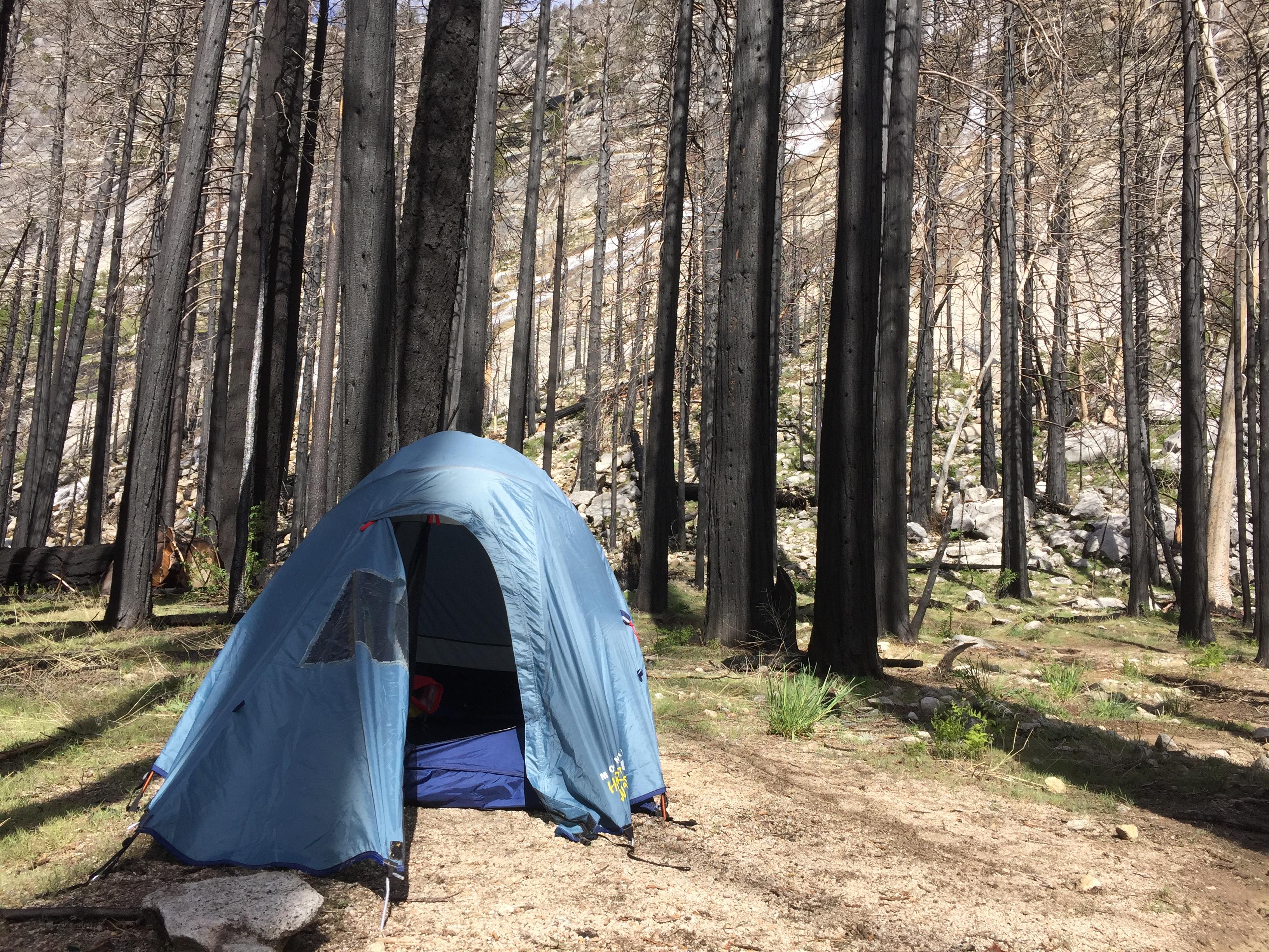 My Campsite in Yosemite Last Week r/camping