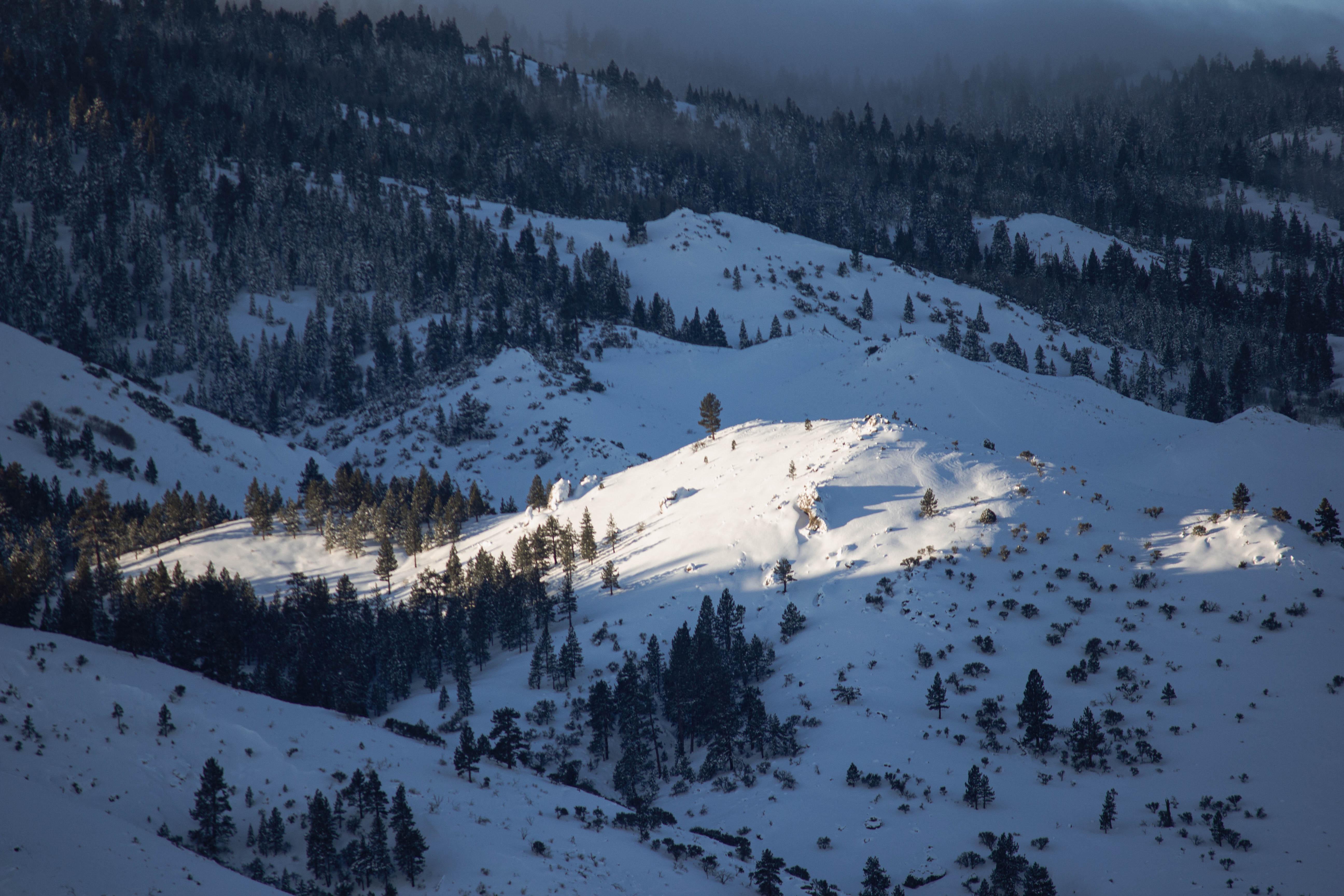 Snowcovered Sierras r/Reno