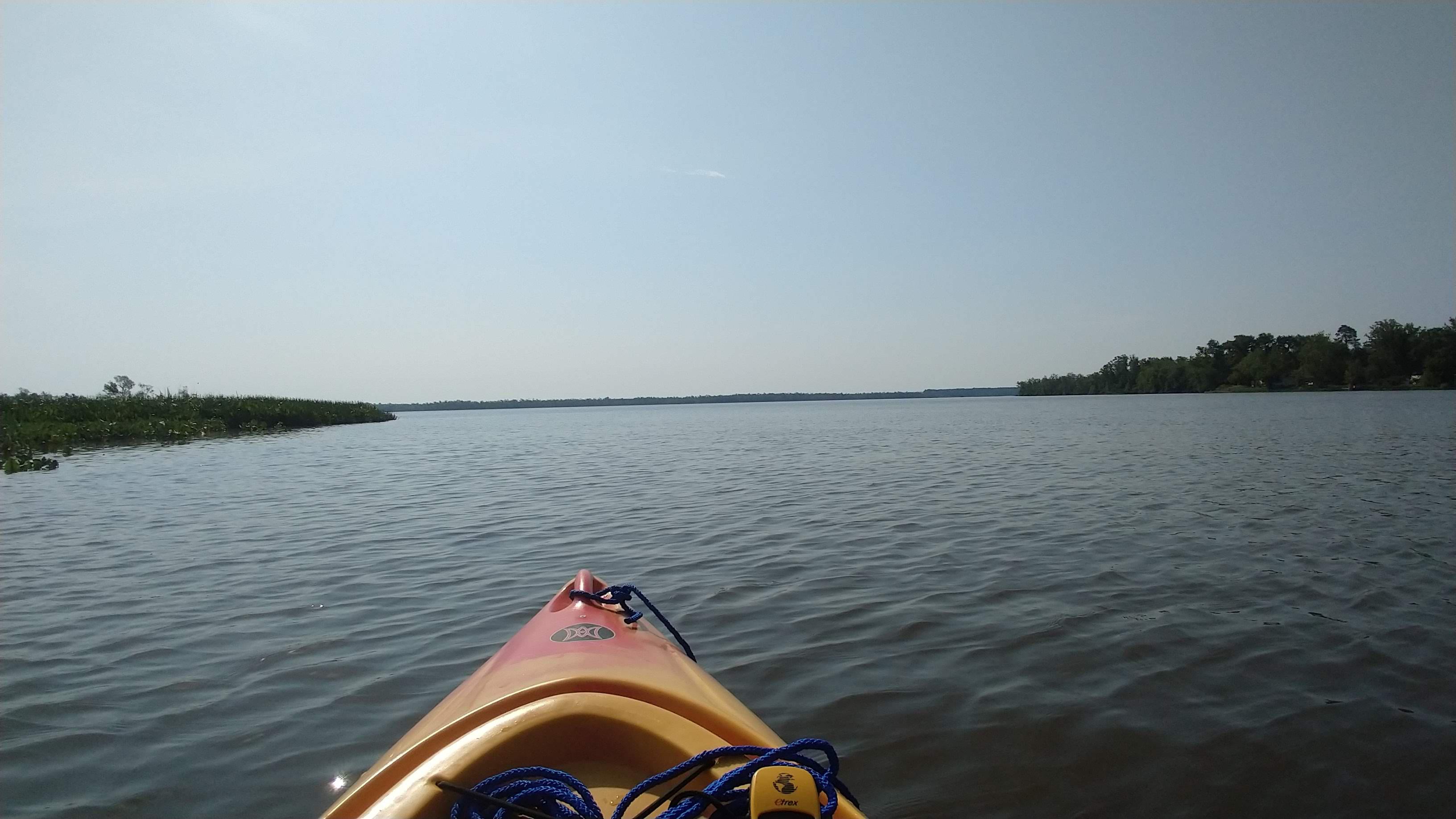 Pamunkey River, King William, VA the shoreline to the right is the