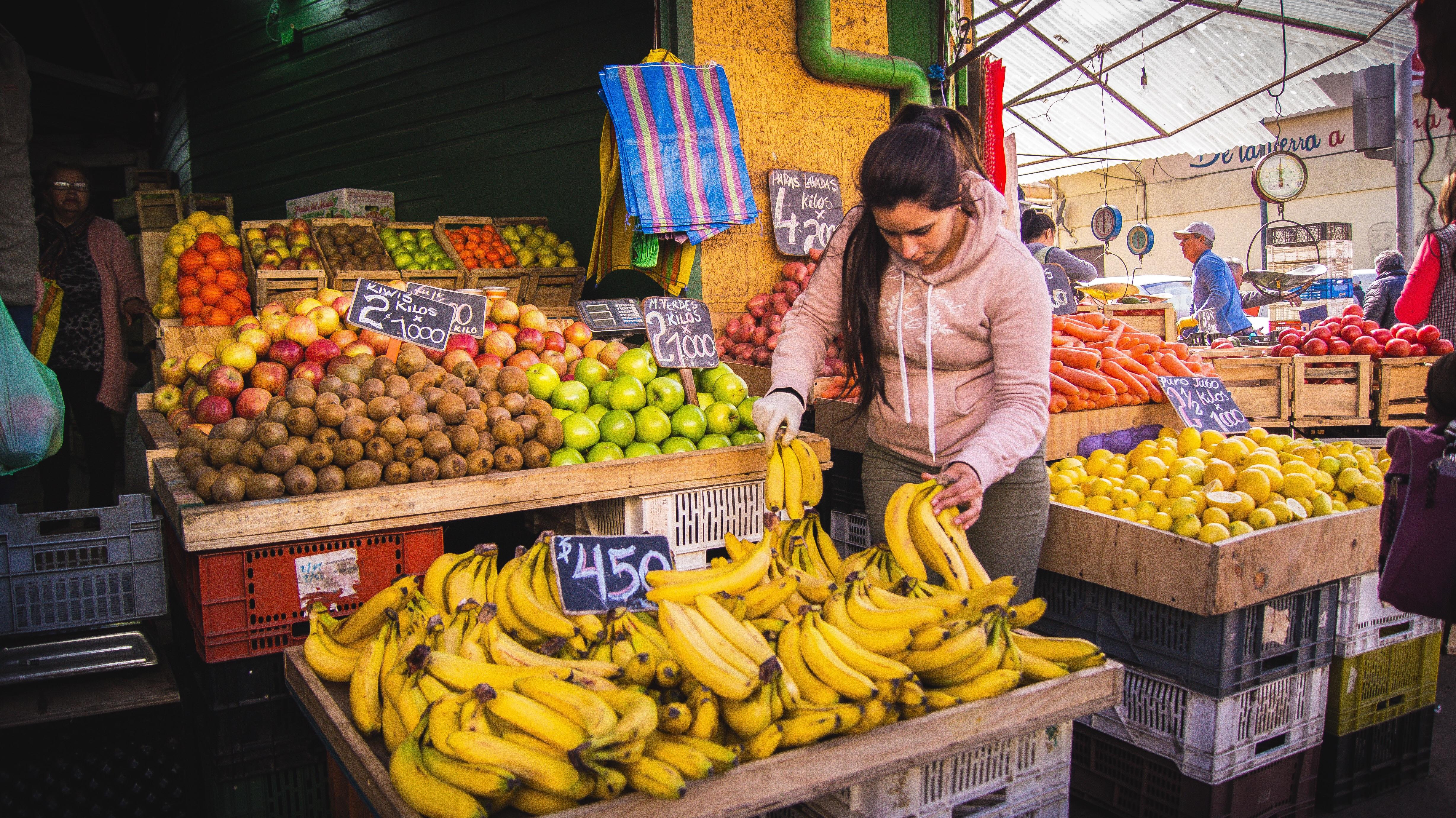 Chilean fruit market r/pics