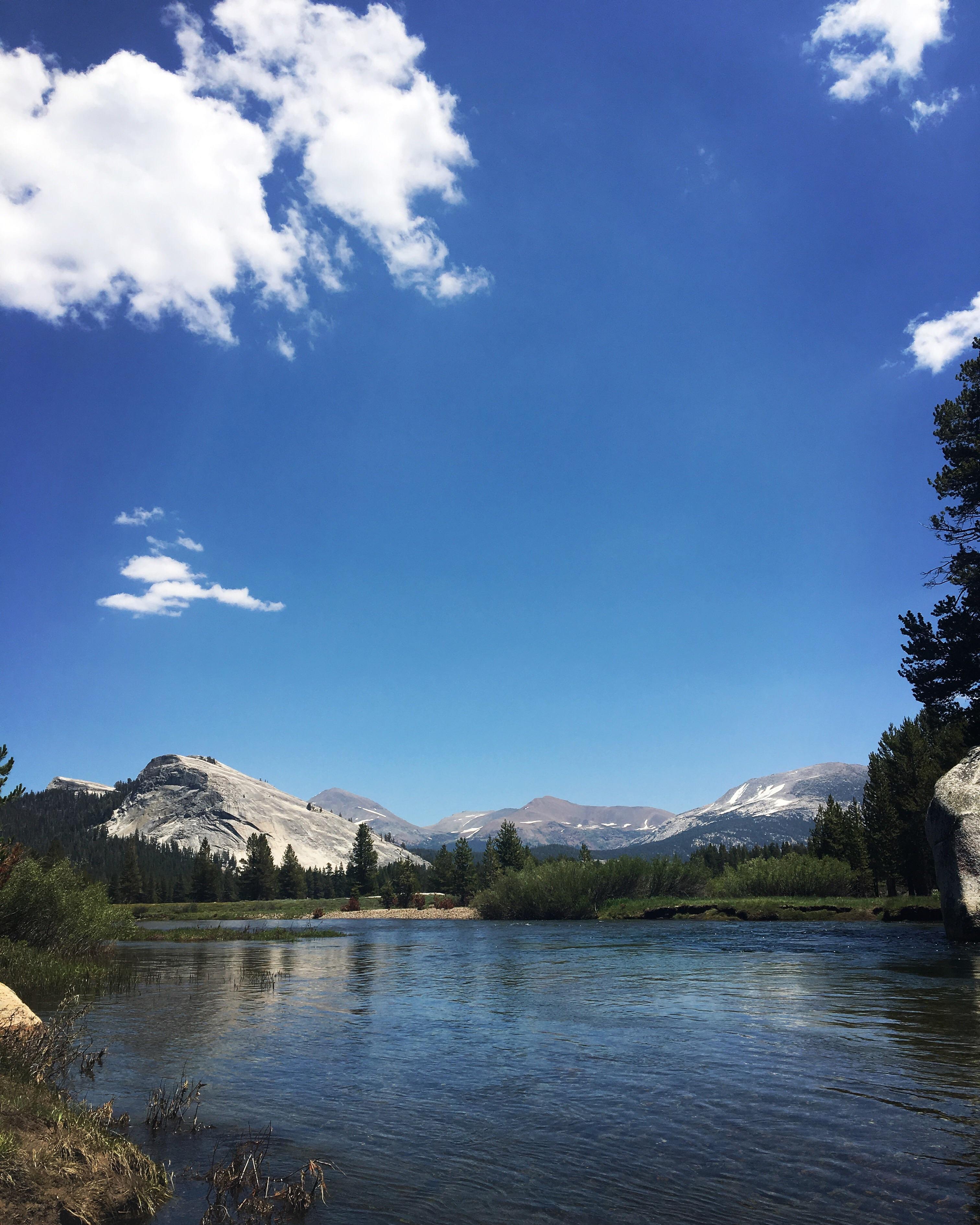Tuolumne River, Yosemite National Park r/Outdoors