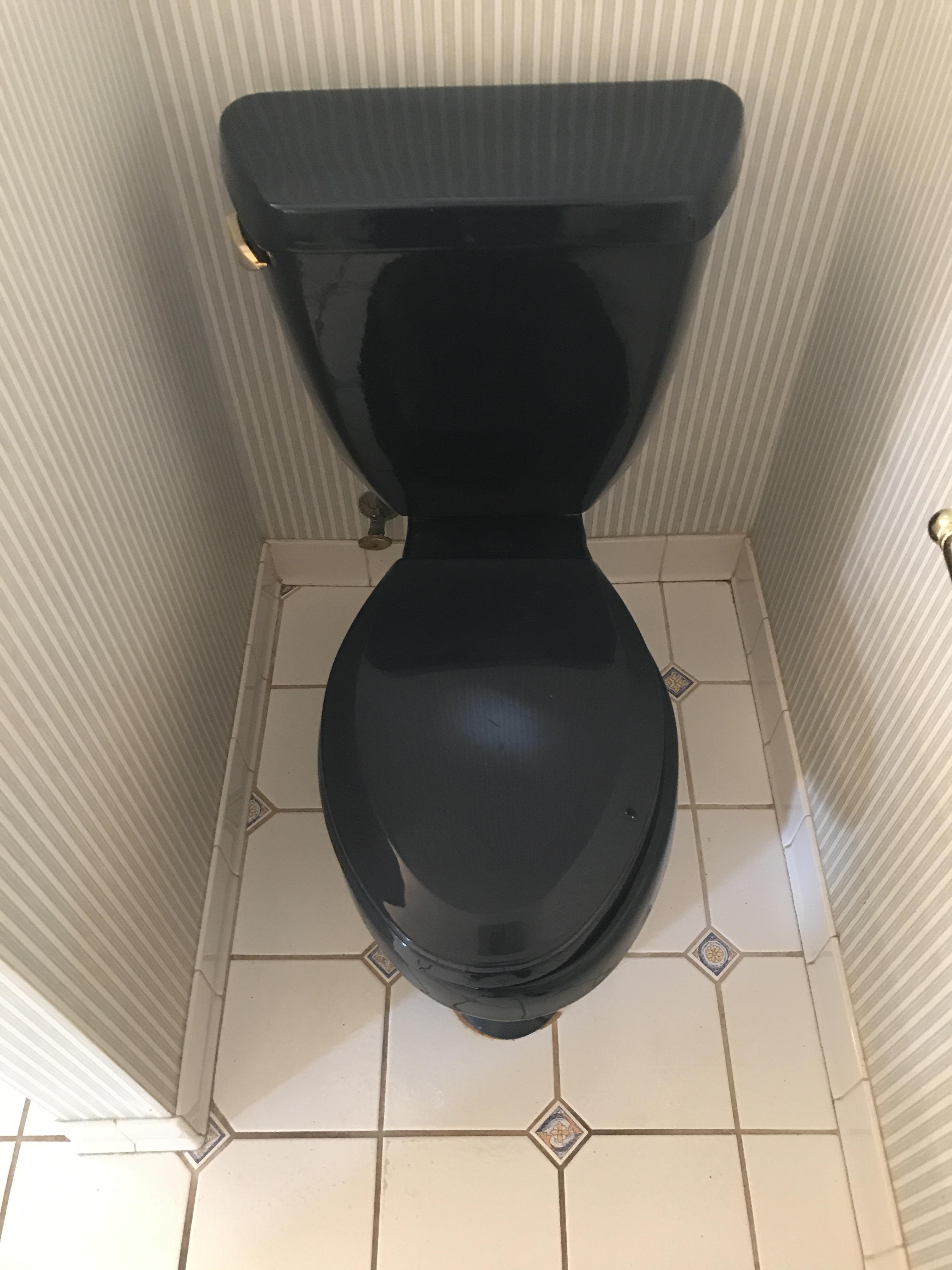 I found a black toilet in my friend’s house. r/Black_Toilets