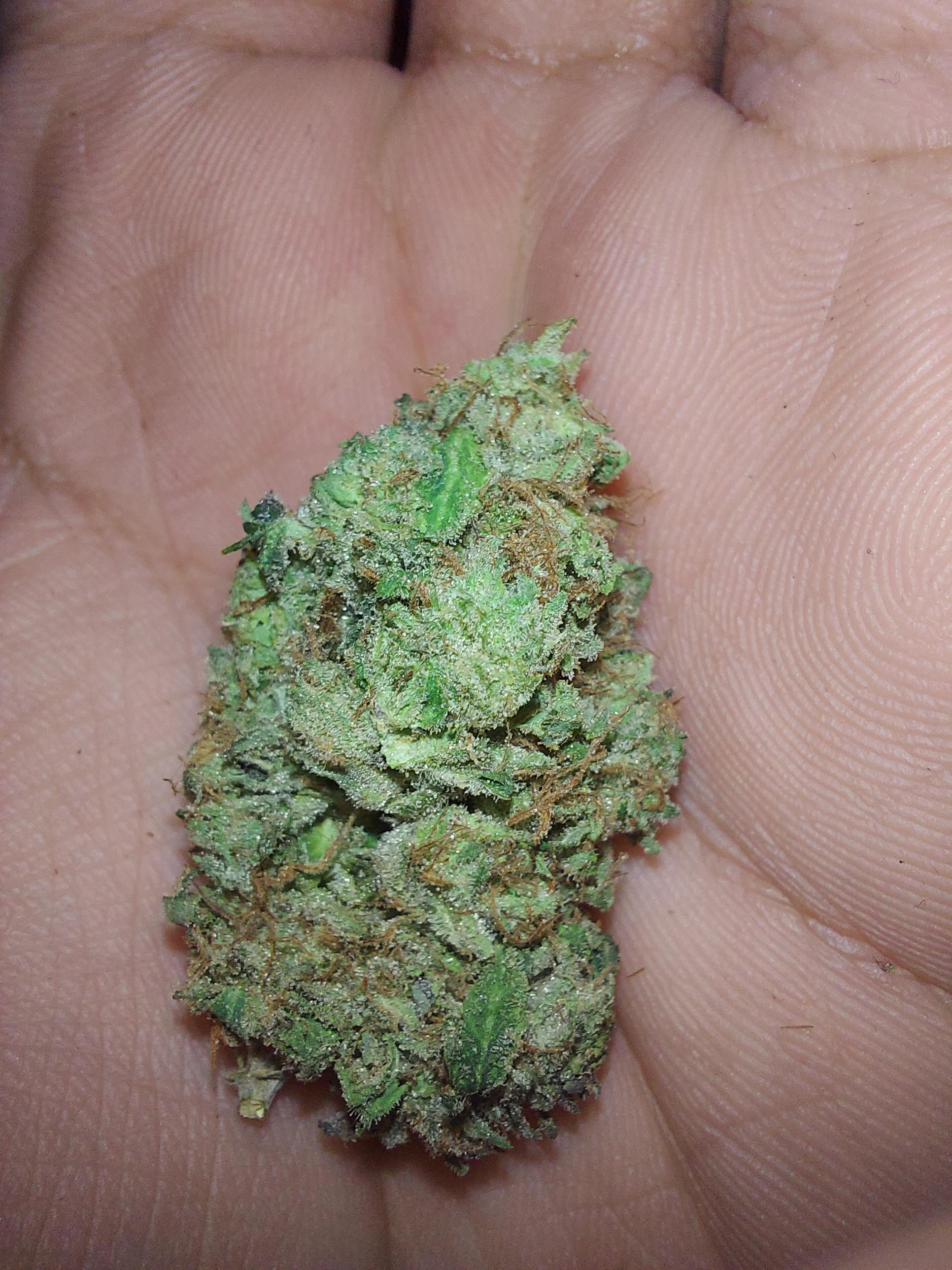 Platinum Rockstar Kush Station October 22 2021 r/MOMpics