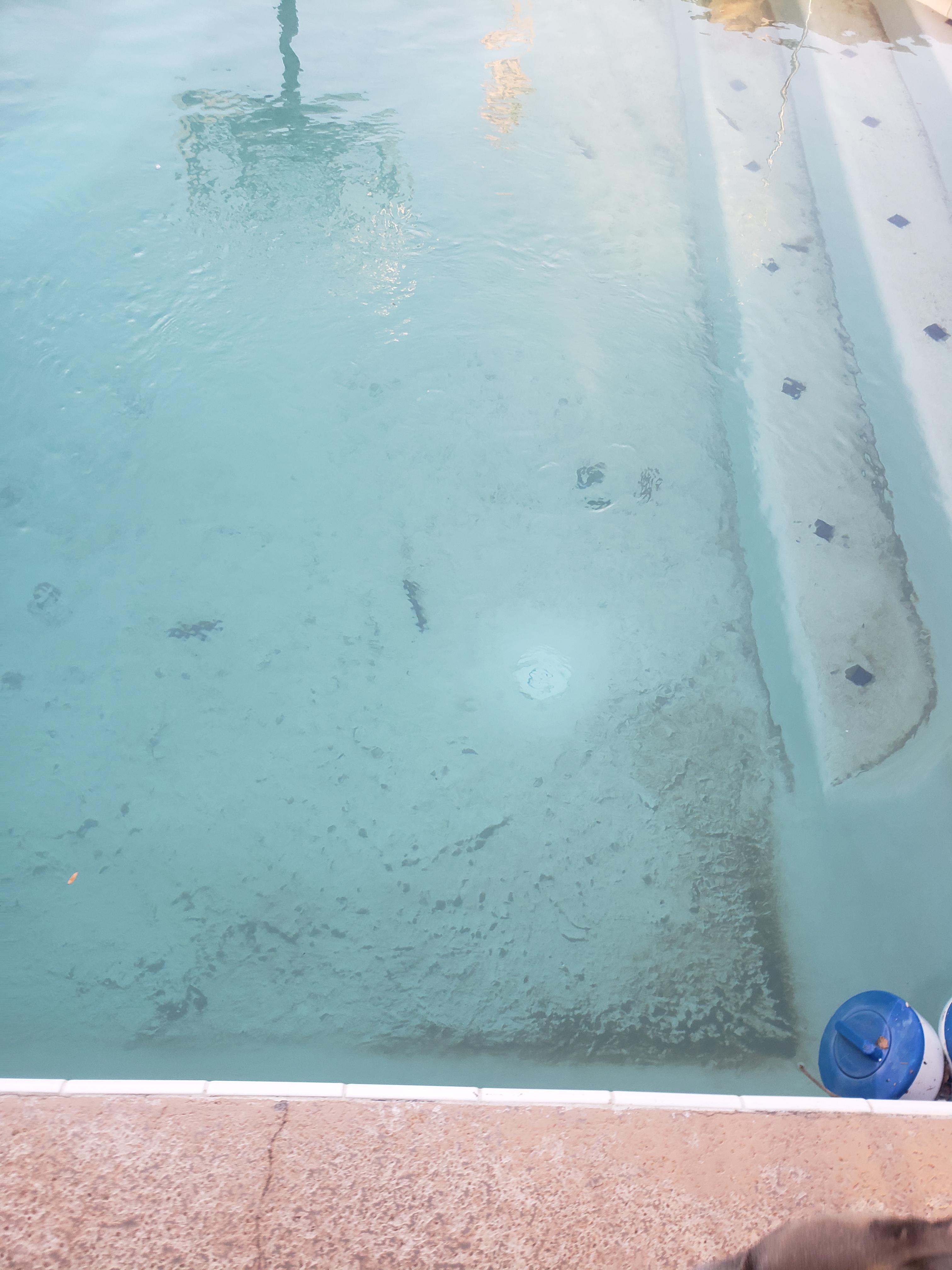 My creepy crawler like pool vacuum will not go to the shallow end, any