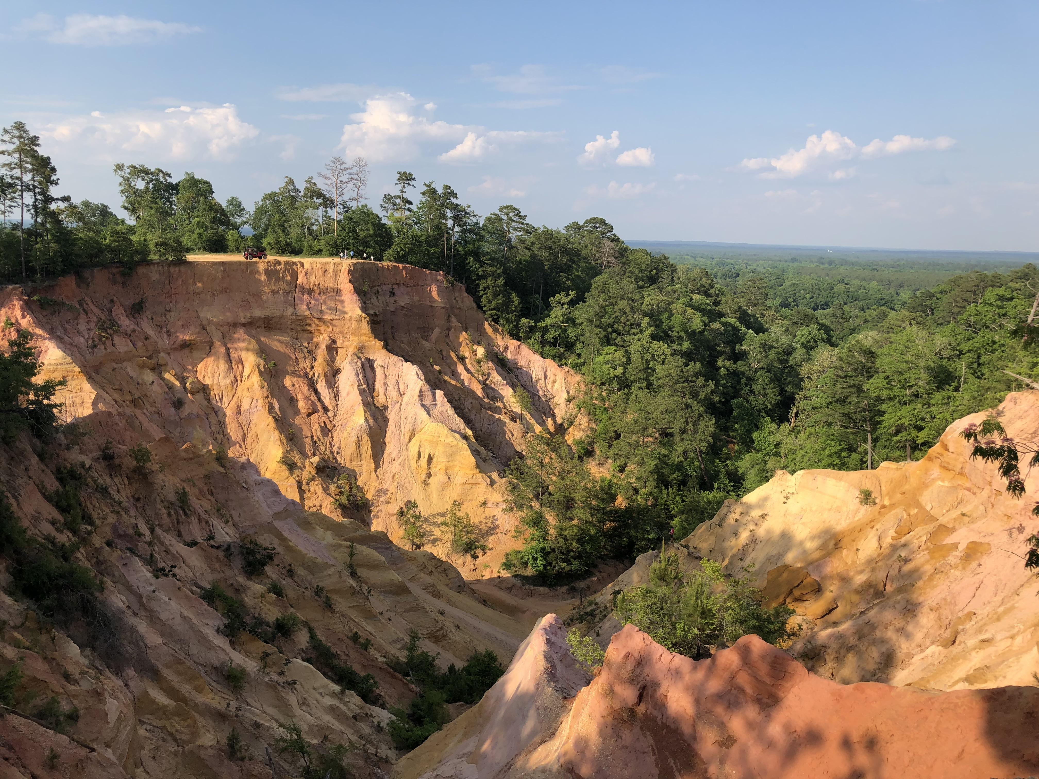 Red Bluff Mississippi’s Little Grand Canyon [OC] [4032 x 3024] r