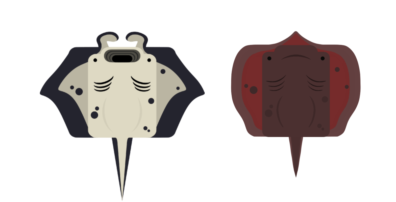 [Manta ray] Giant stingaree r/deeeepioskins