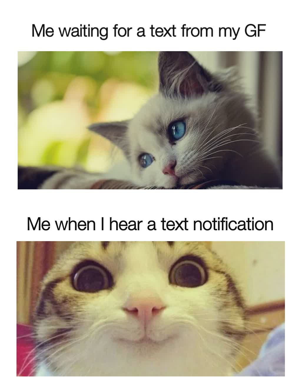 You brighten up my day 🥰 r/wholesomememes