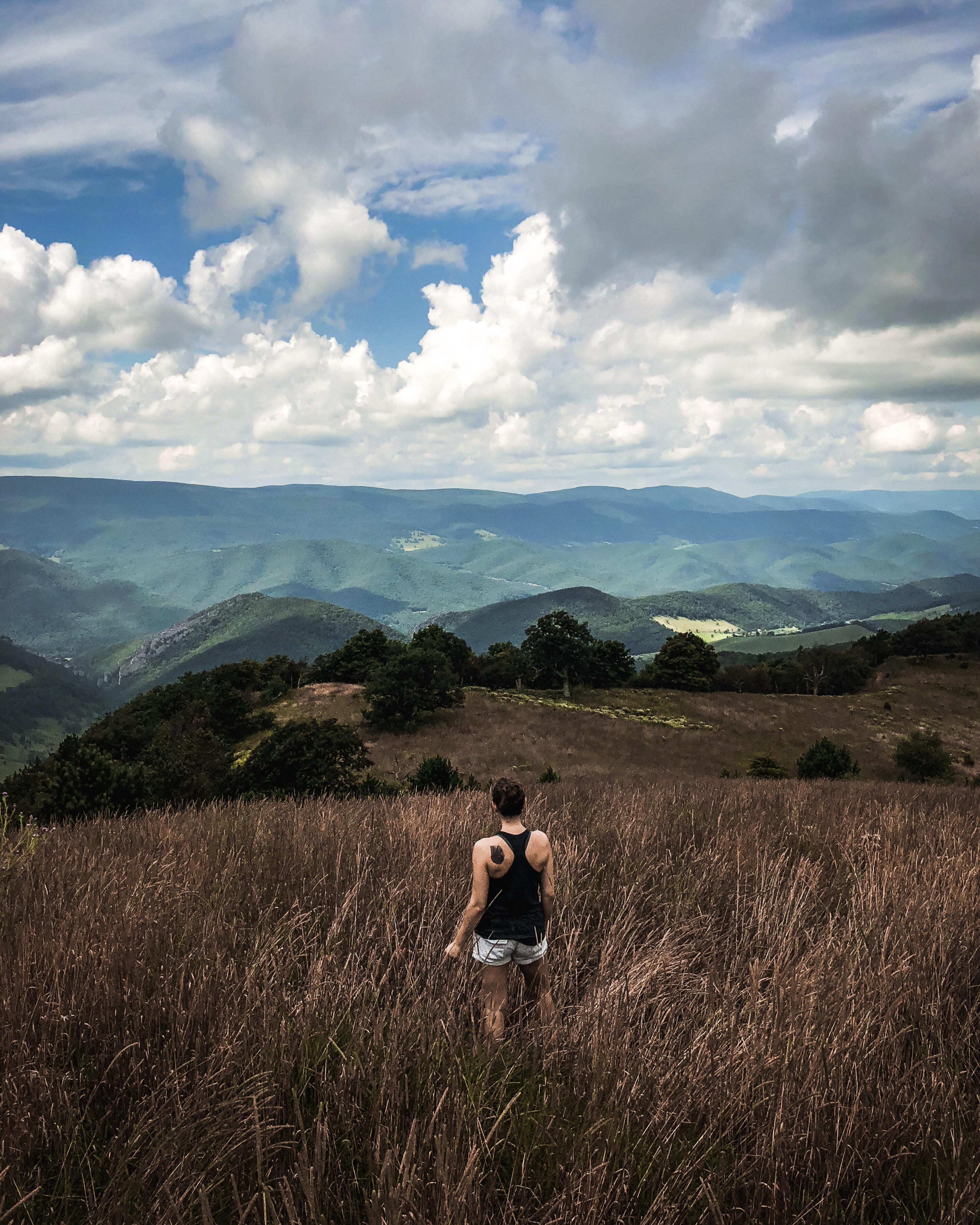 Went for a hike in West Virginia today r/hiking