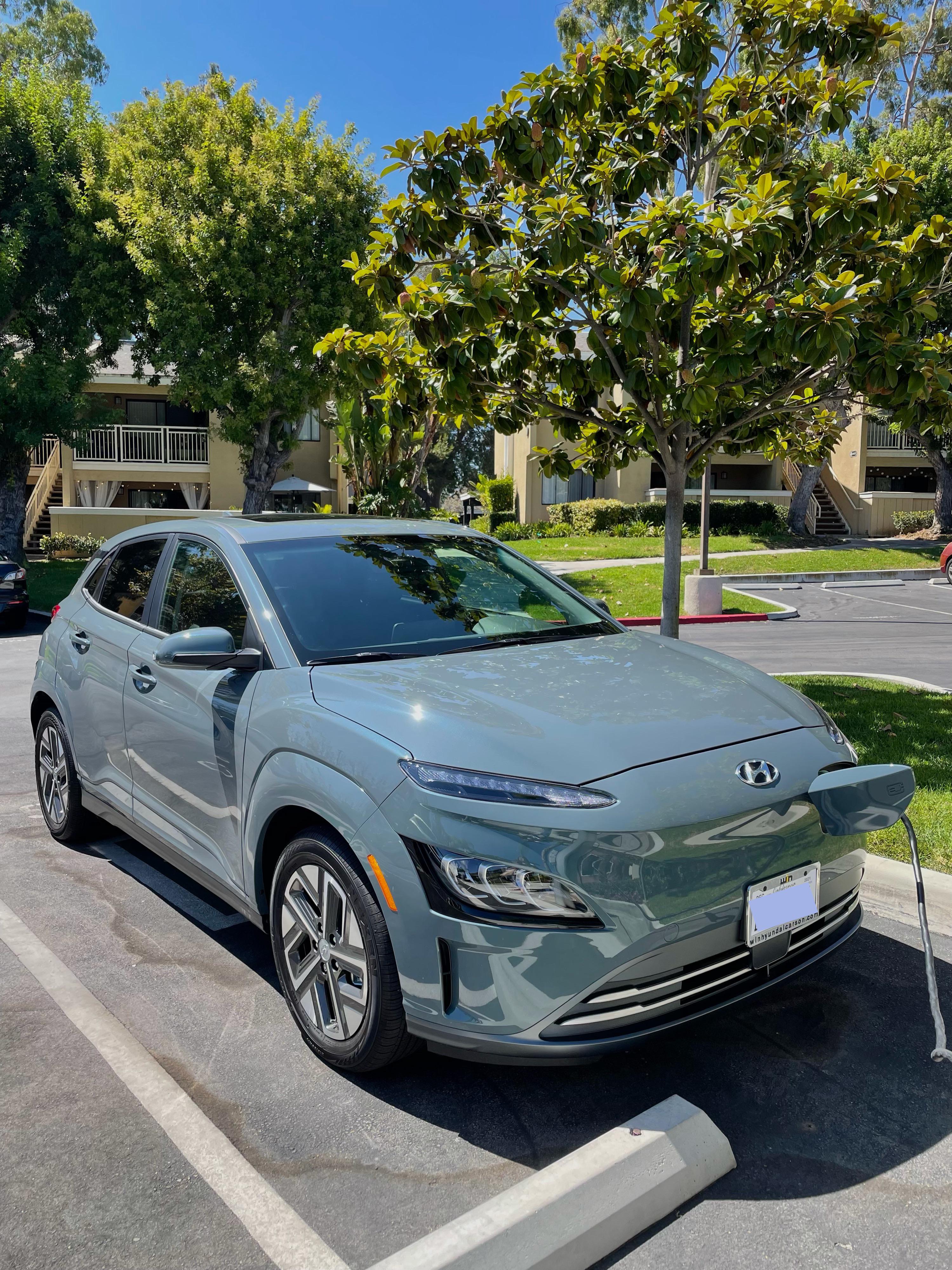 Joined the club! I love this Cactus Fern exterior so much. r/KonaEV